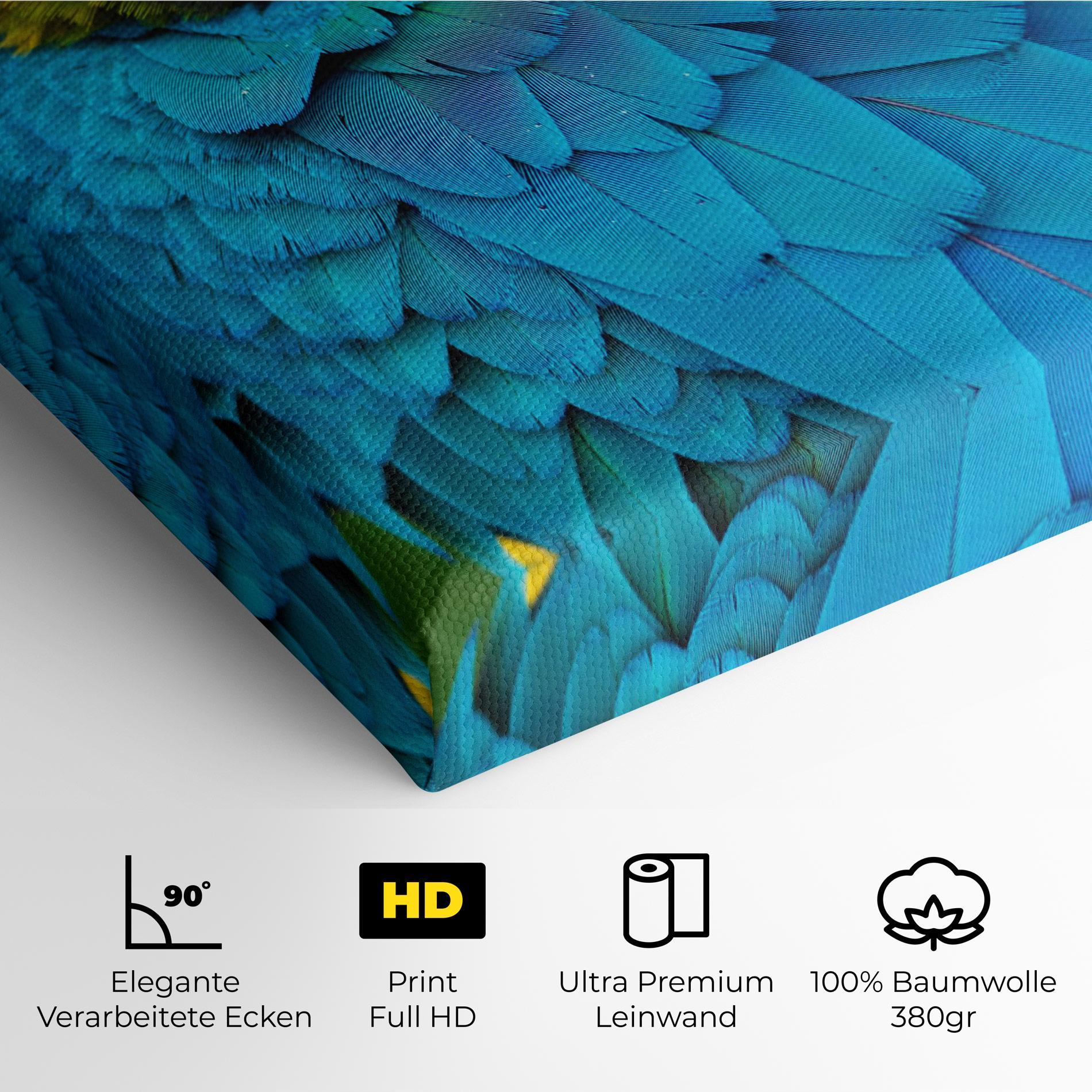 Leinwandbild Blue Parrot mockup 4