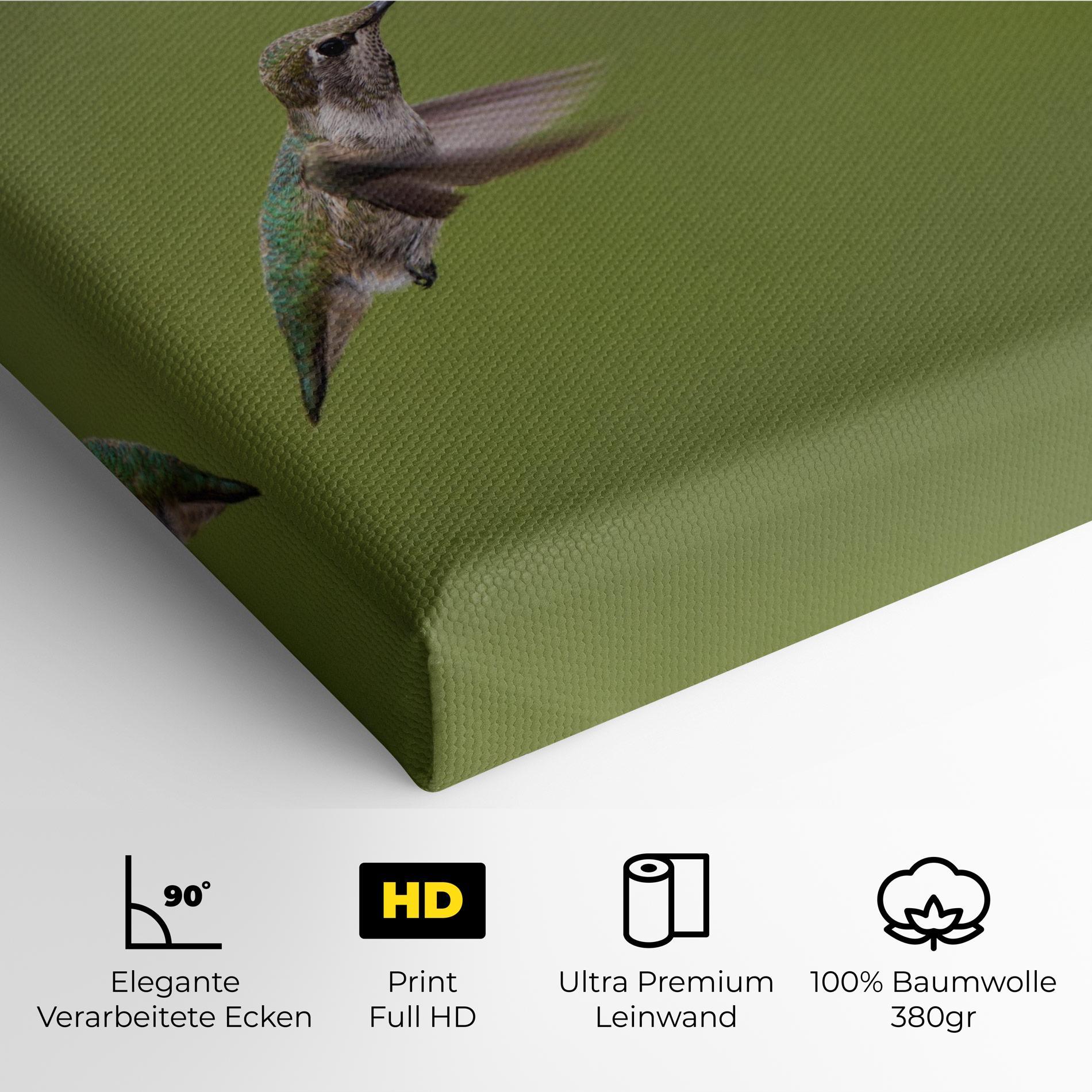 Leinwandbild Cute Hummingbird mockup 4