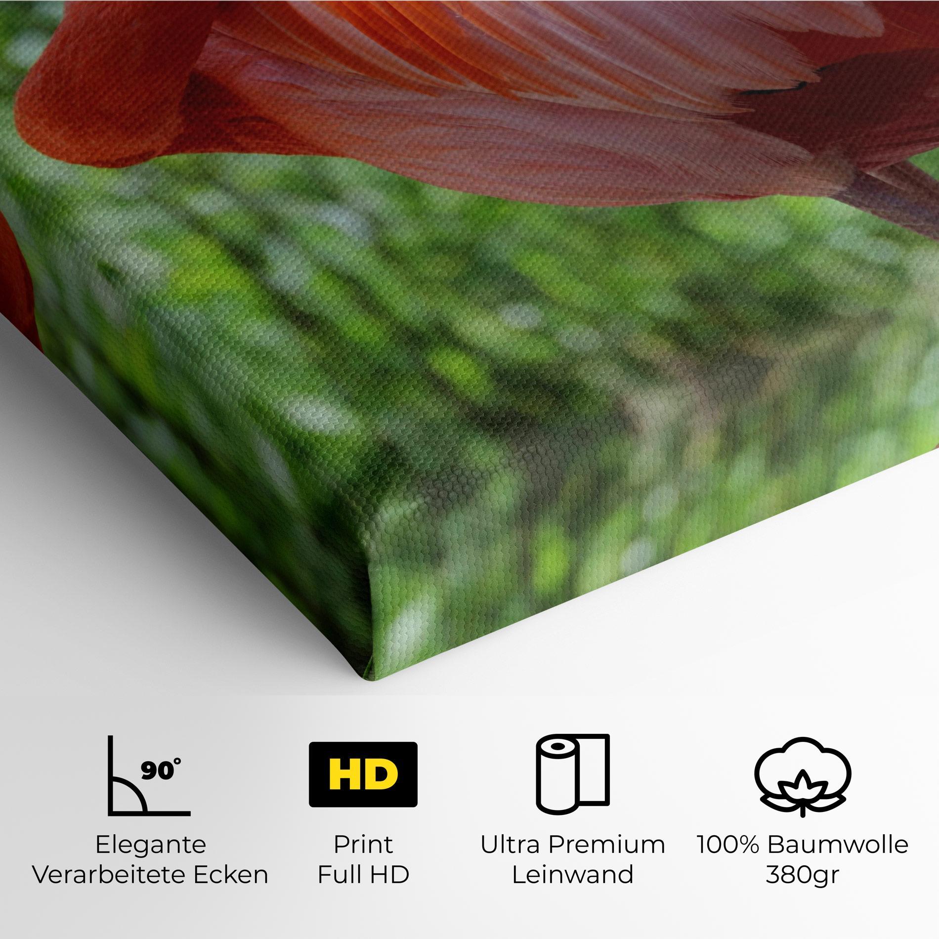 Leinwandbild Red Flamingo mockup 4