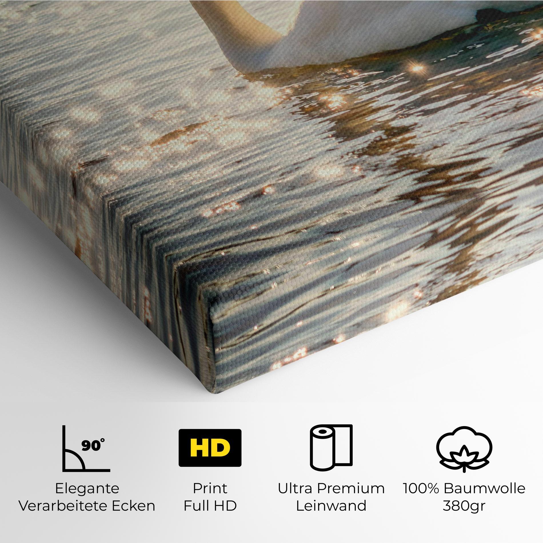 Leinwandbild Swan On Lake mockup 4