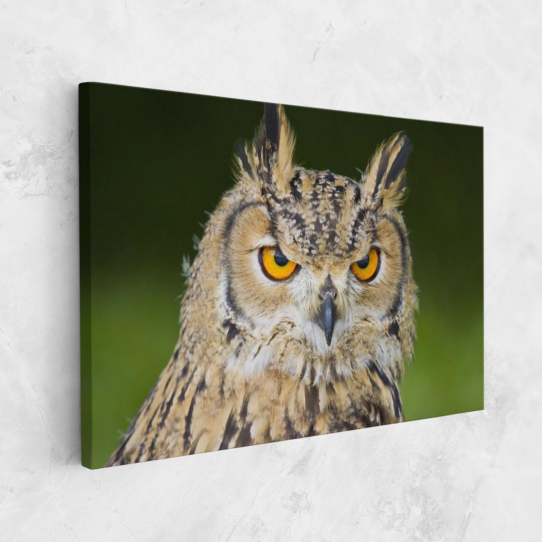 Leinwandbild Angry Owl mockup 1