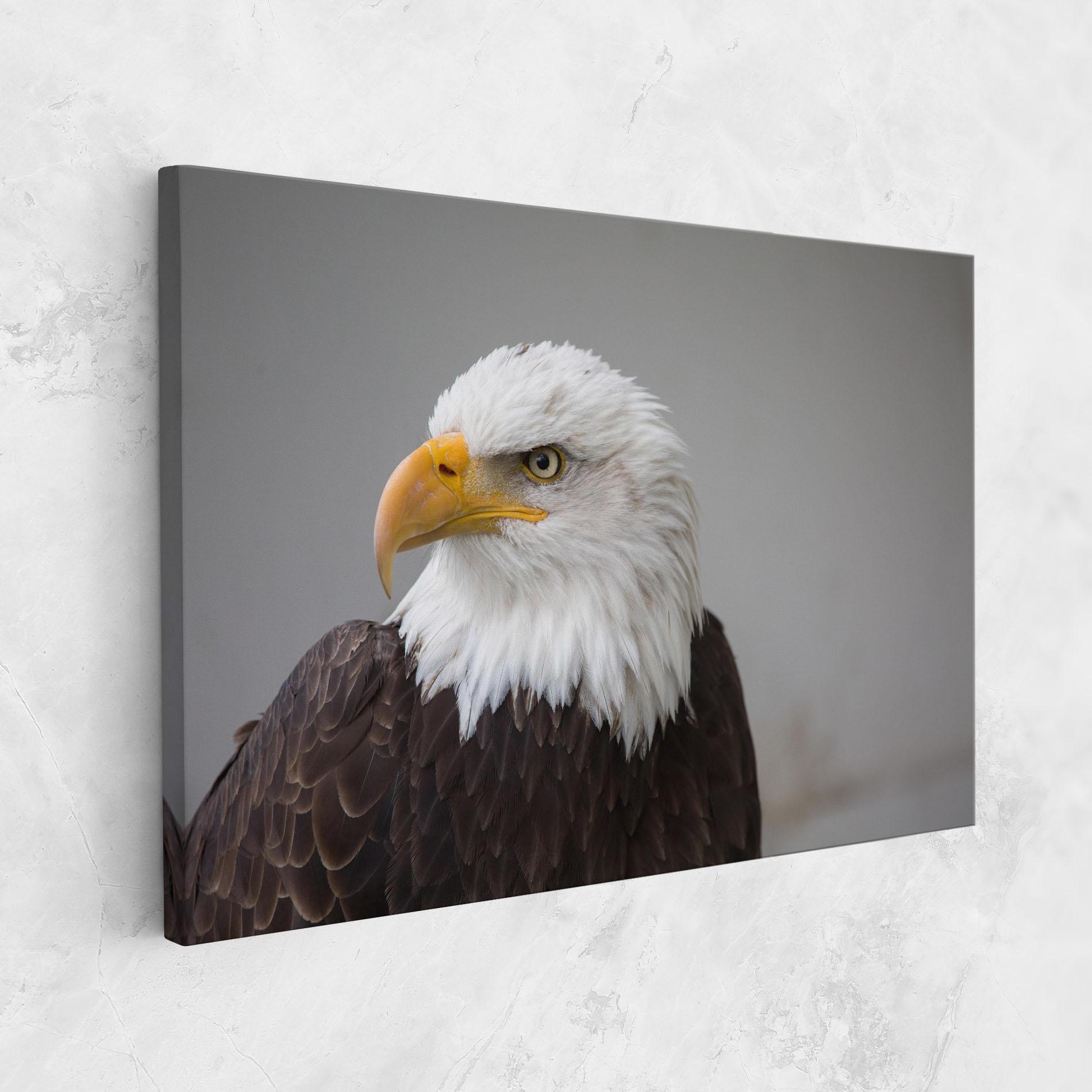 Leinwandbild Beautiful Eagle mockup 1