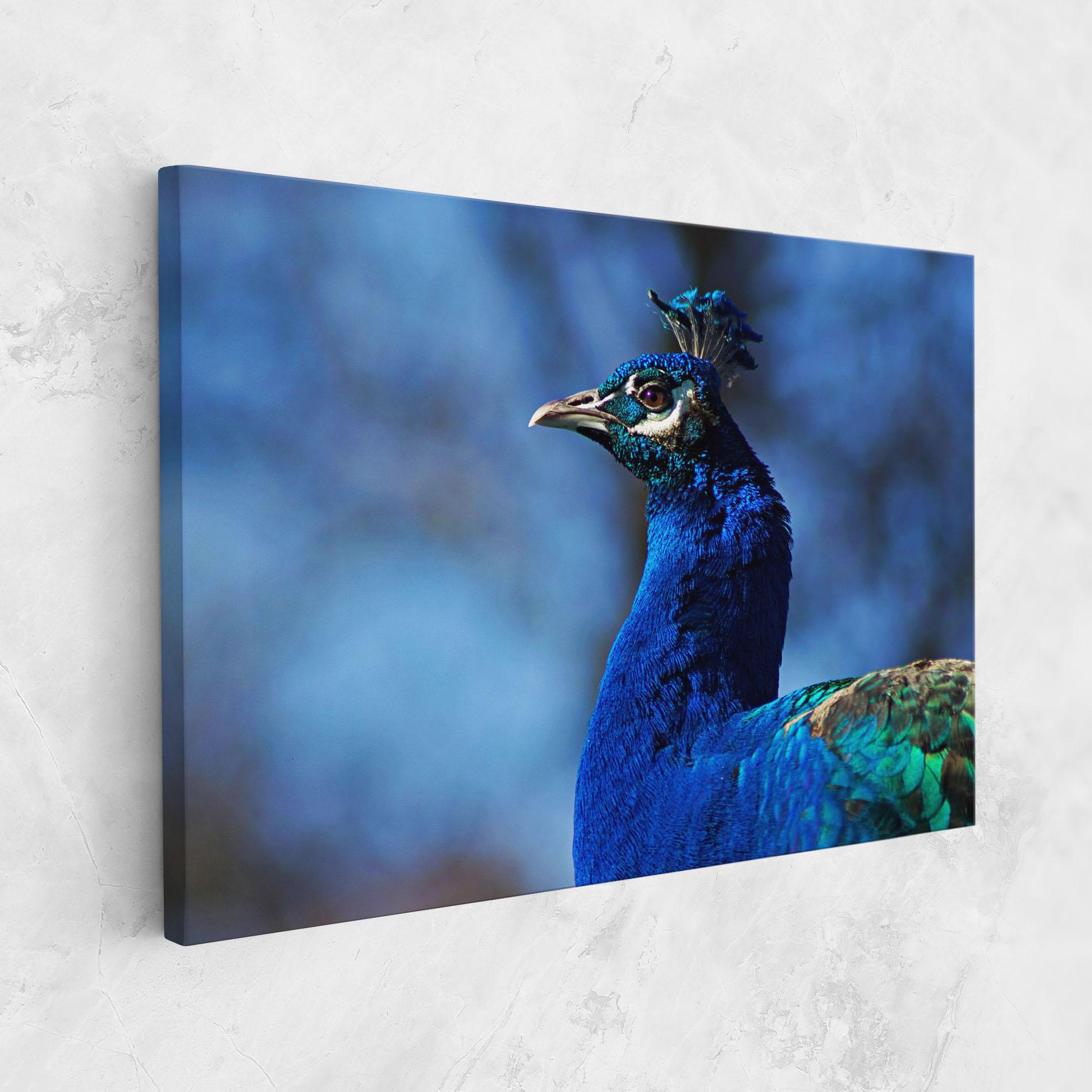 Leinwandbild Blue Bird mockup 1