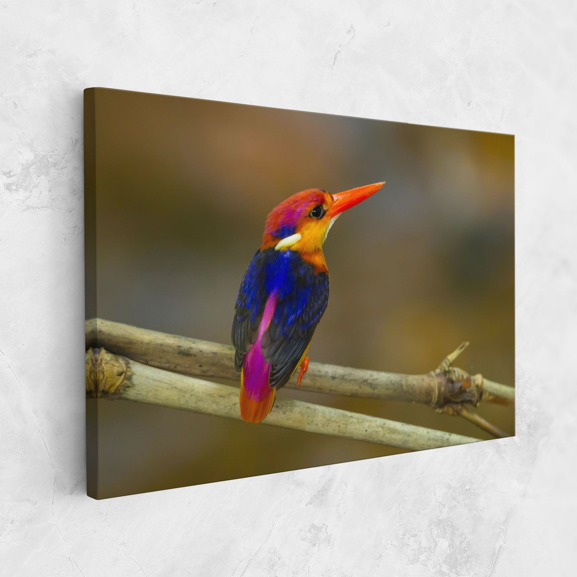 Colorful Bird mockup 1