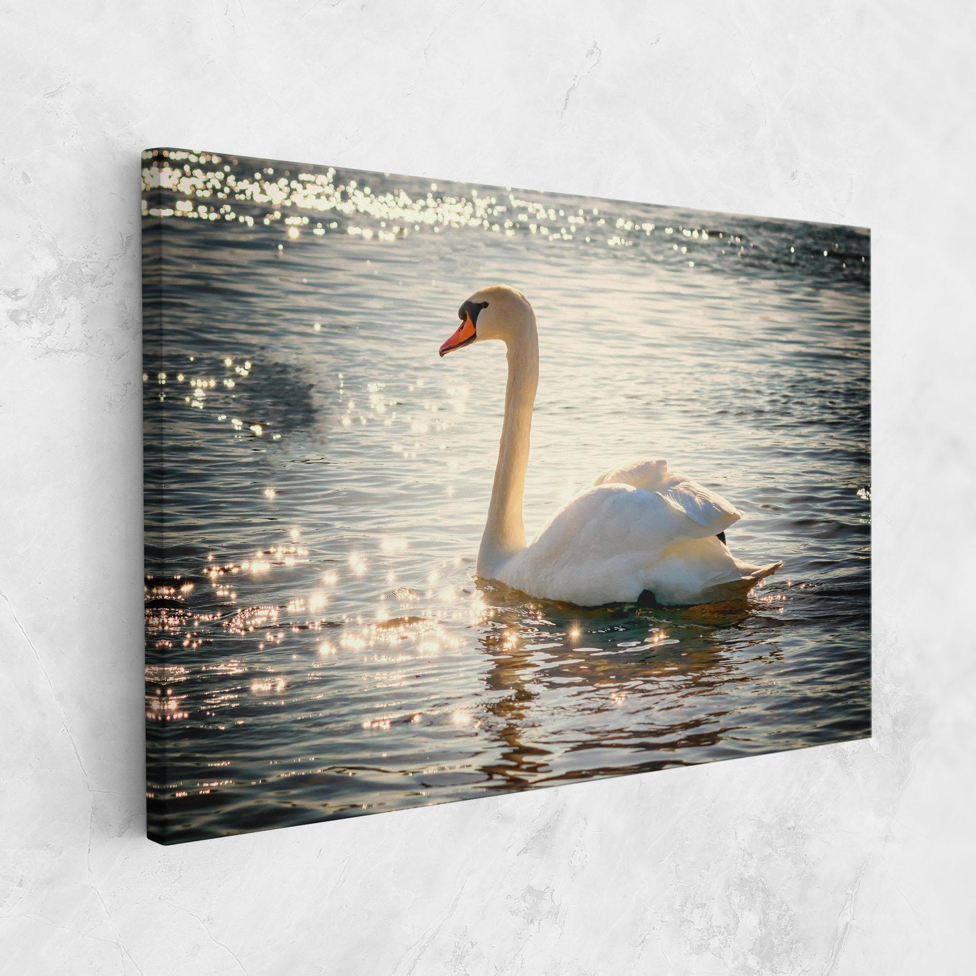 Leinwandbild Swan On Lake mockup 1