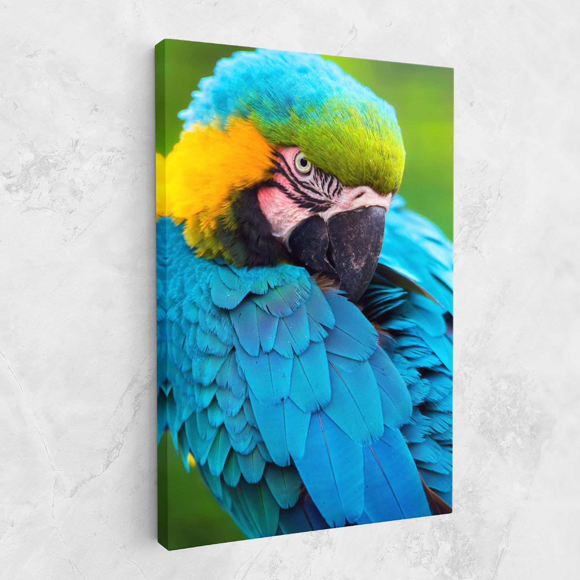 Leinwandbild Blue Parrot mockup 1