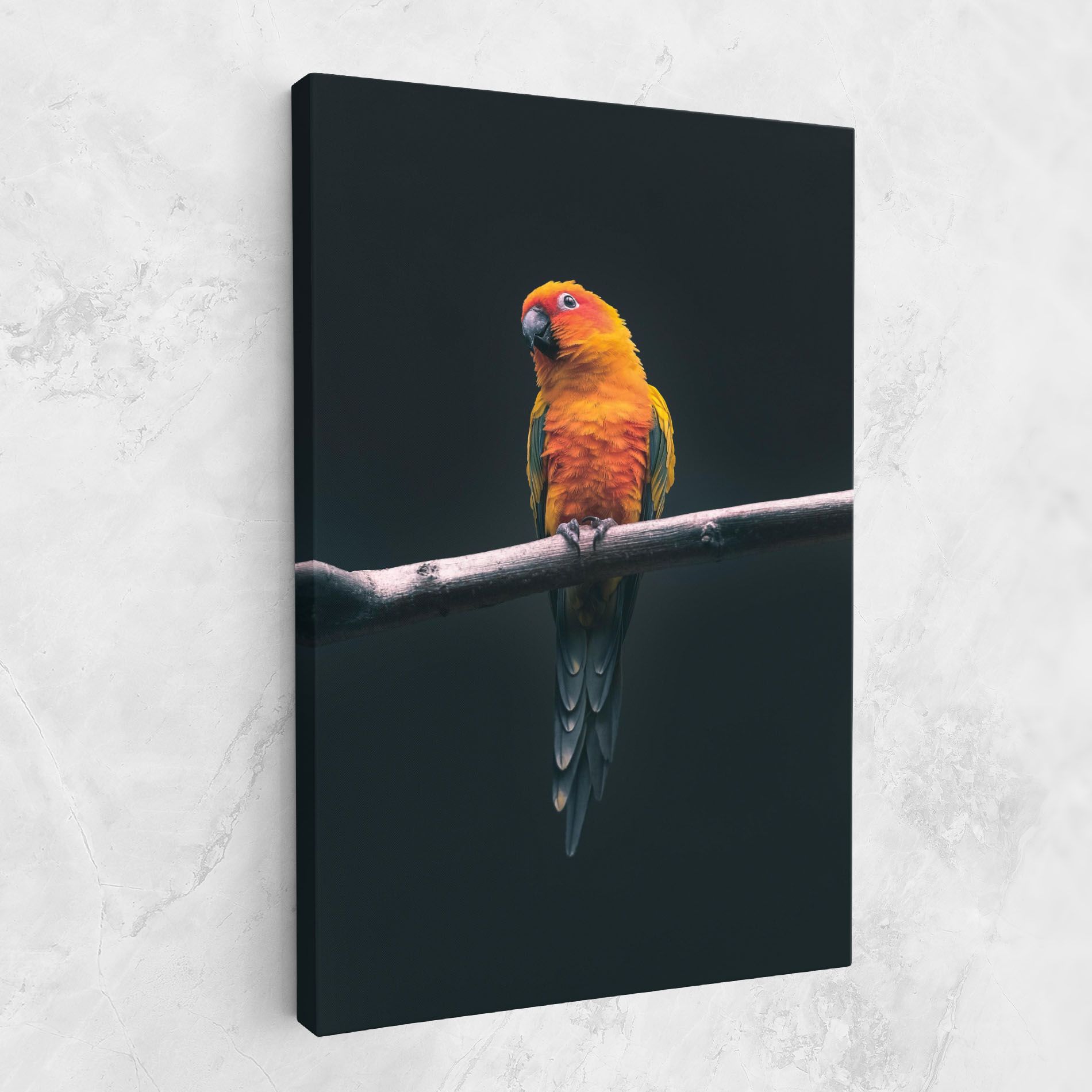 Fire Parrot mockup 1