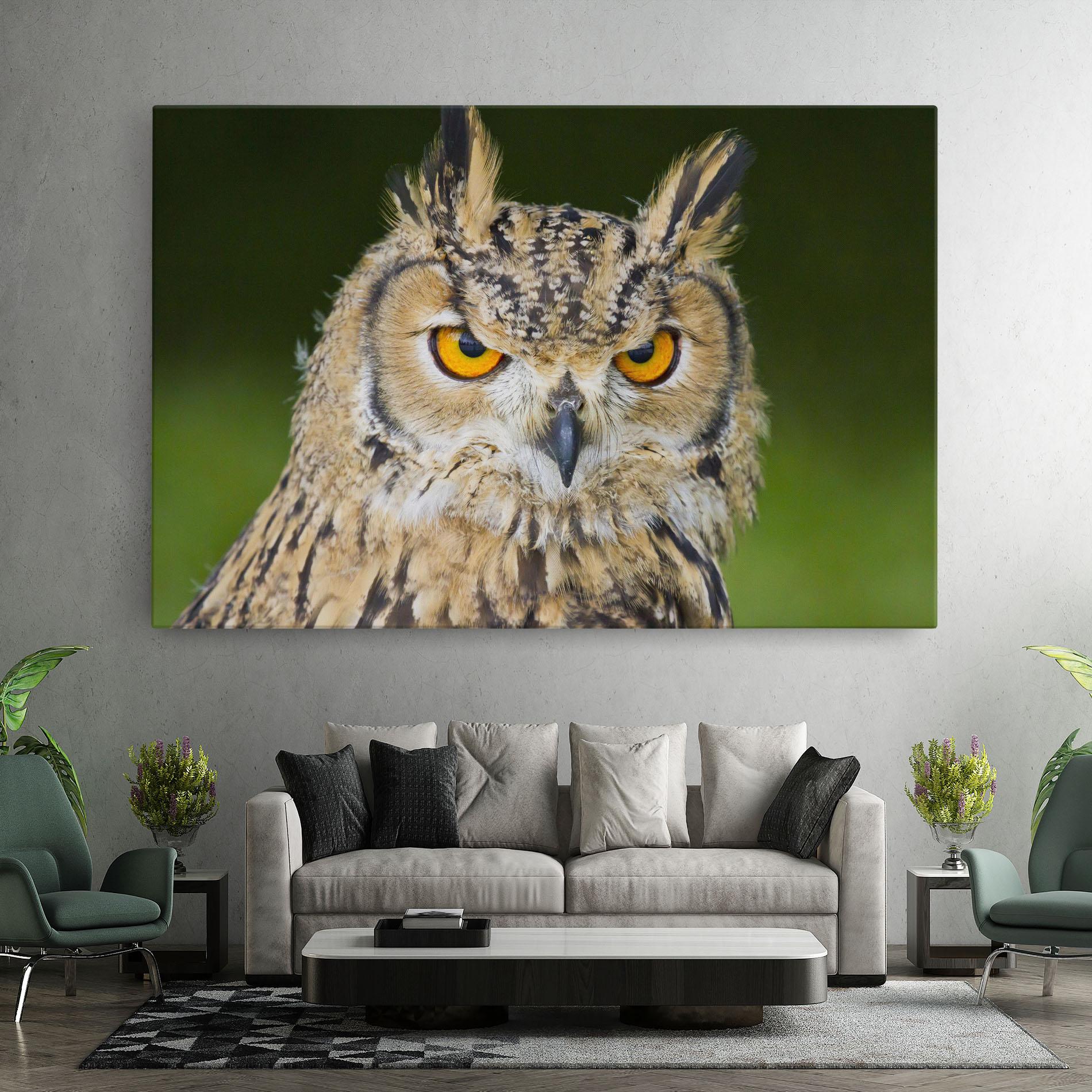 Leinwandbild Angry Owl mockup 7