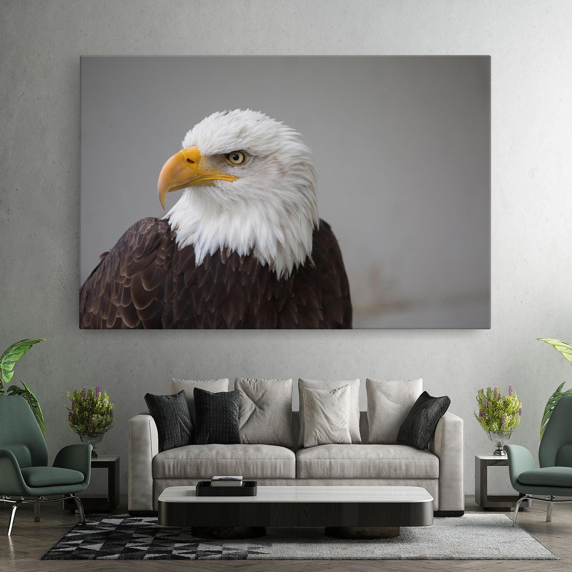 Leinwandbild Beautiful Eagle mockup 7