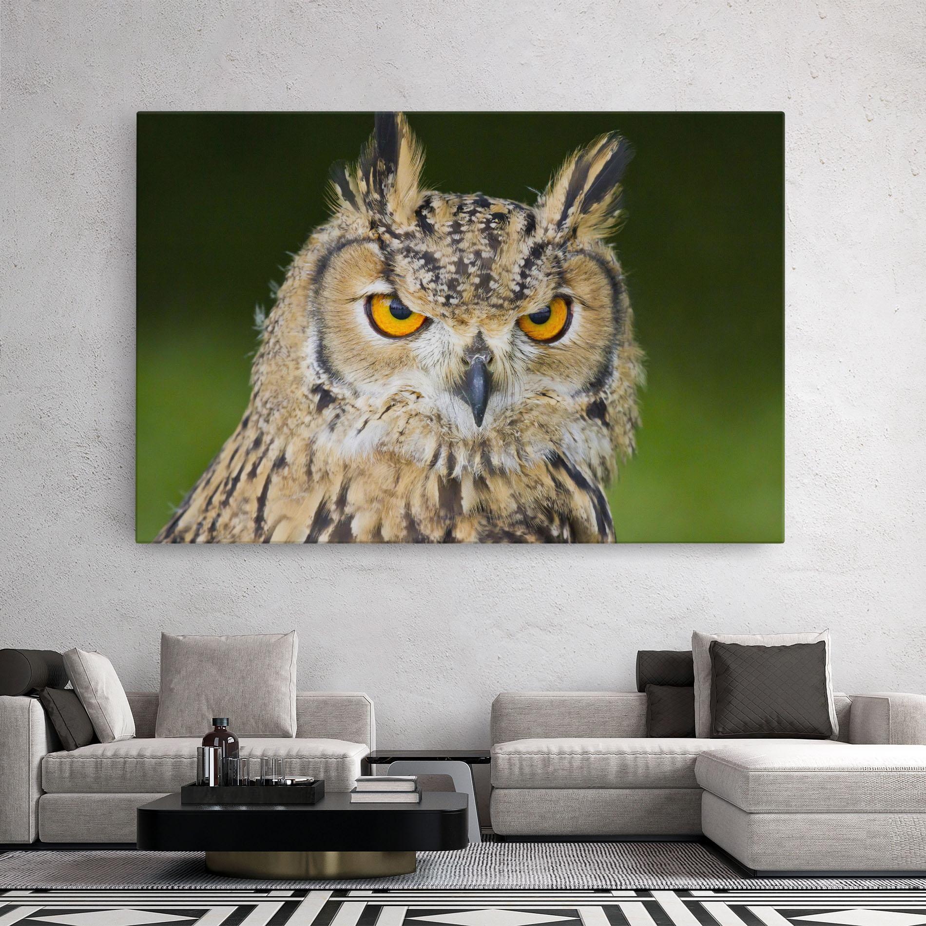 Leinwandbild Angry Owl mockup 2