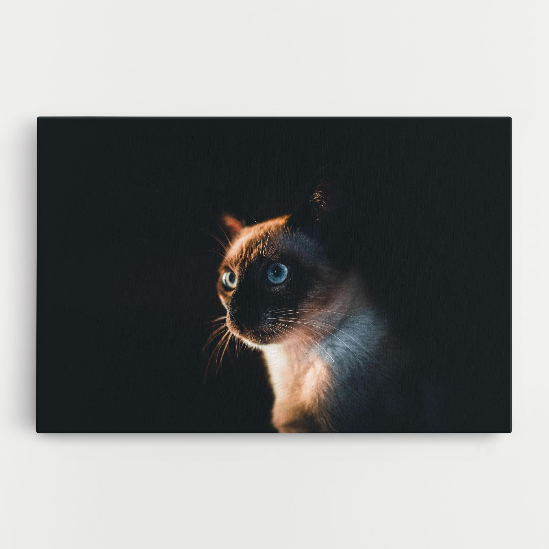 Leinwandbild Blue Eyes Cat In Dark mockup 0