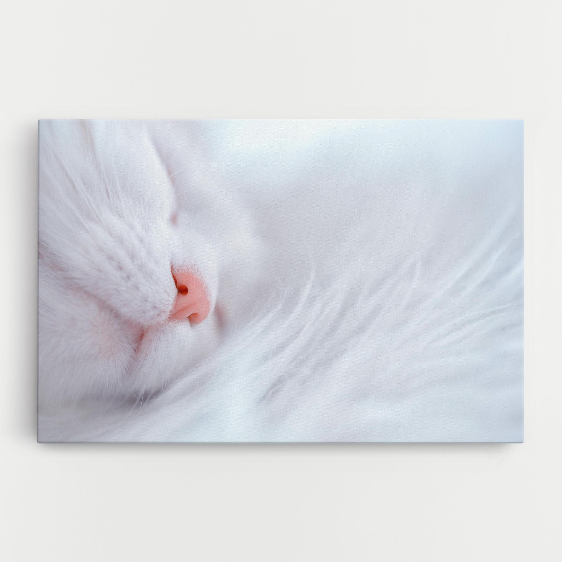 Leinwandbild Dreamy White Cat mockup 0