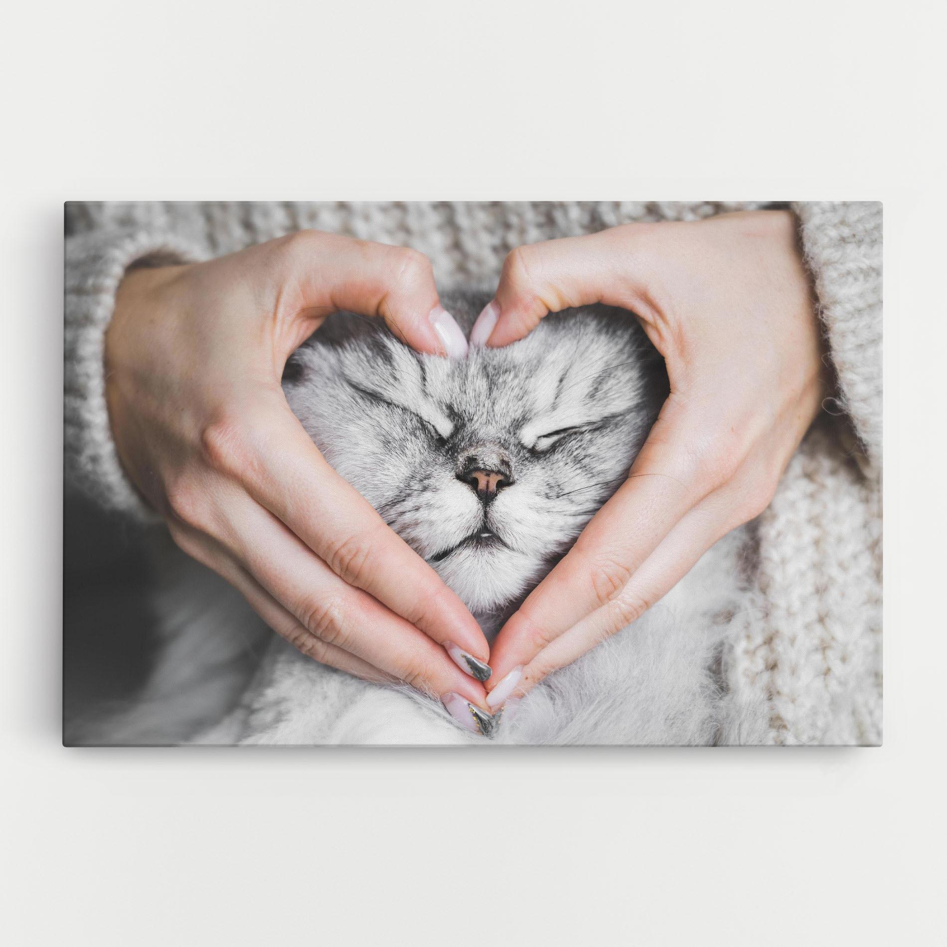 Leinwandbild Lovely Cat mockup 0
