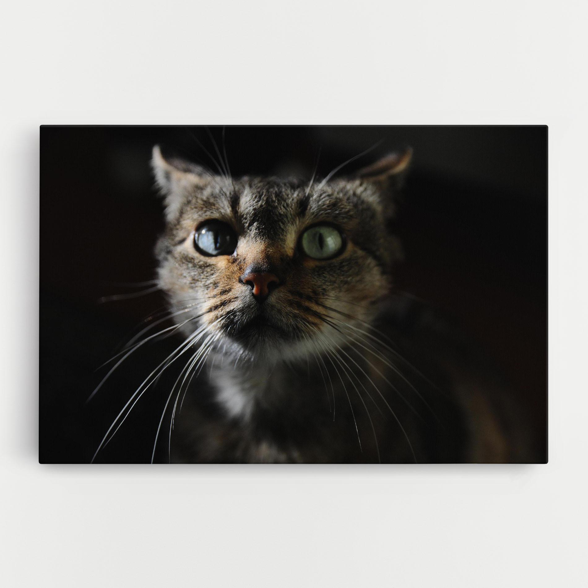 Leinwandbild Playful Cat mockup 0