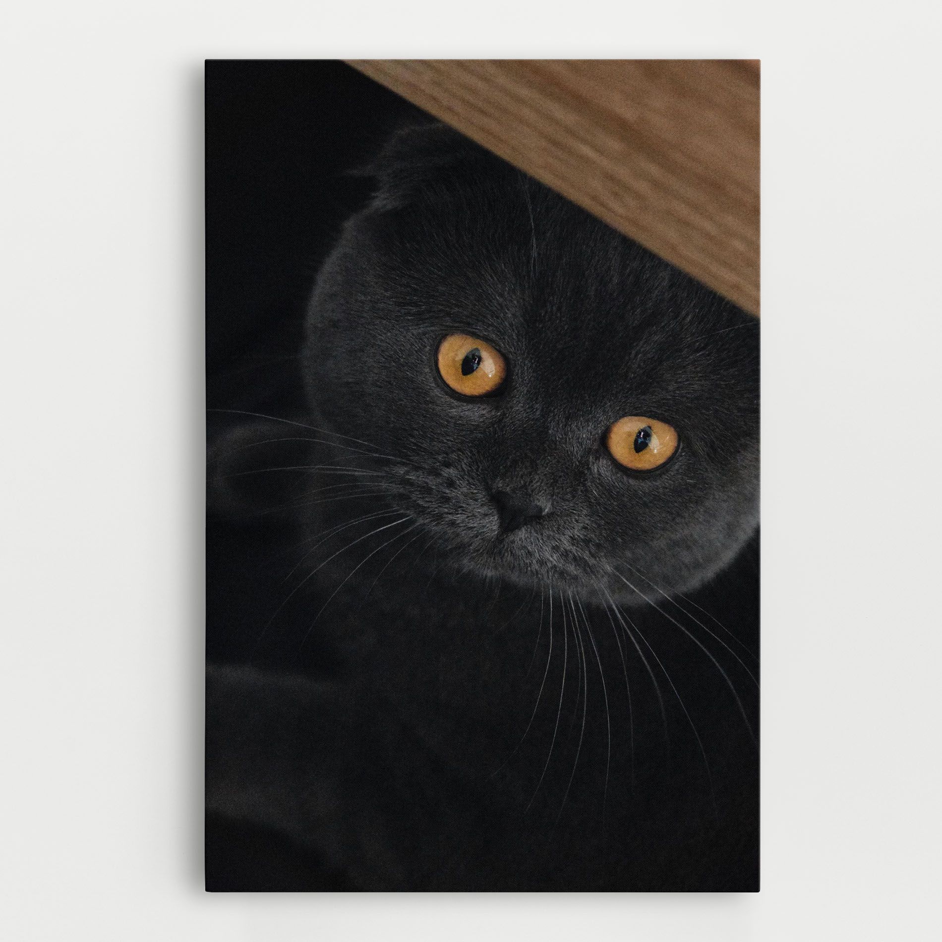 Grey Cat With Orange Eyes mockup 0
