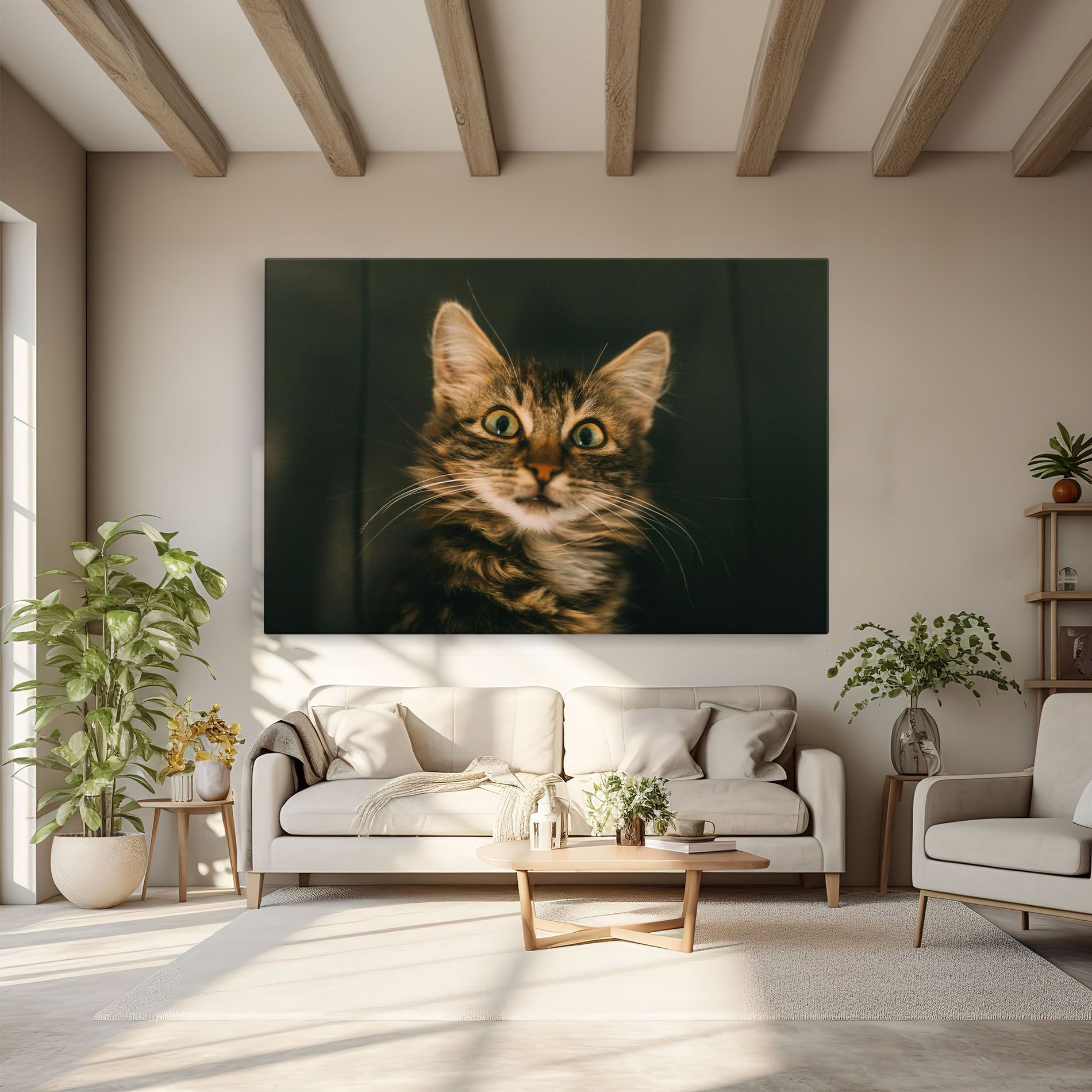 Amazed Cat mockup 6