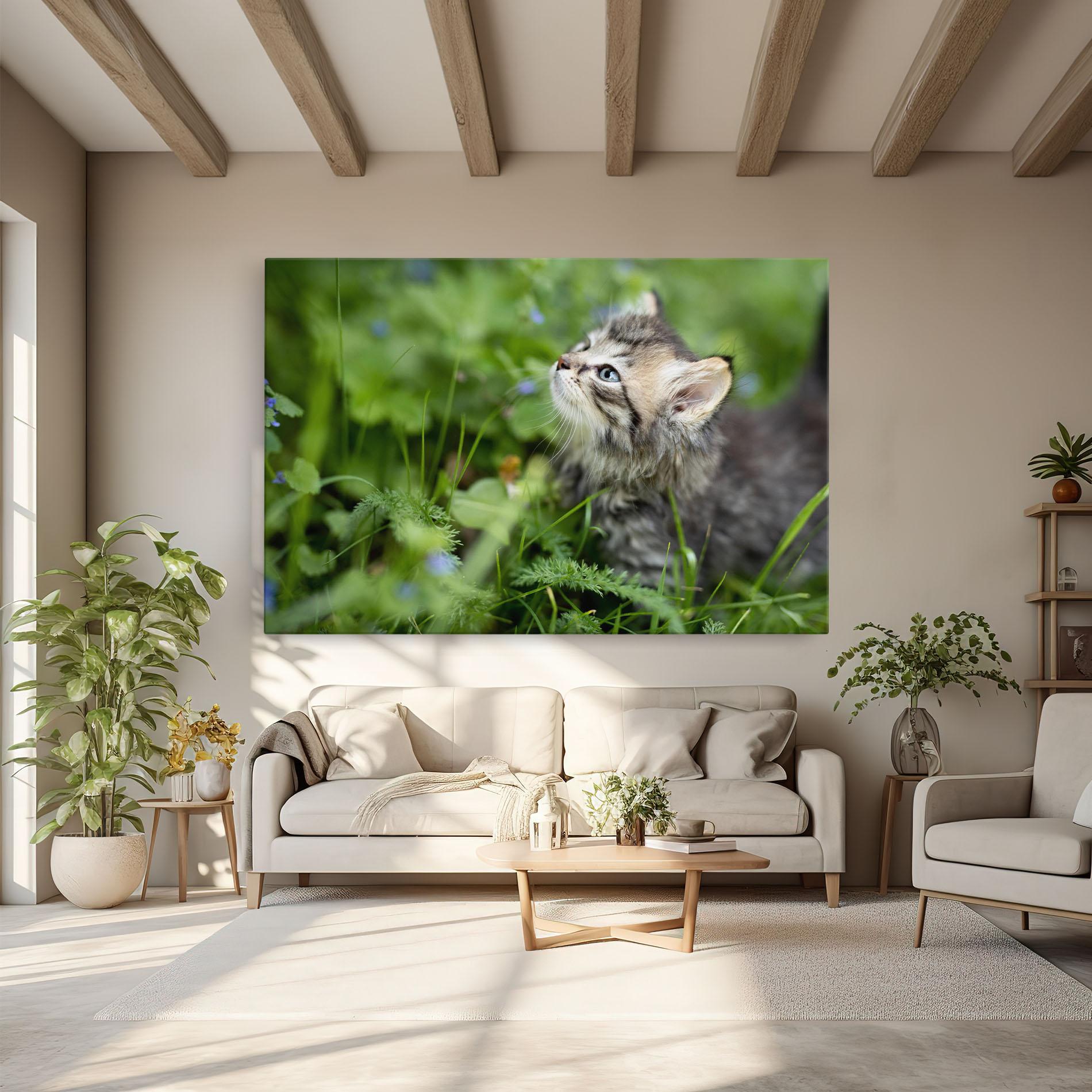 Leinwandbild Brown Baby Cat mockup 6