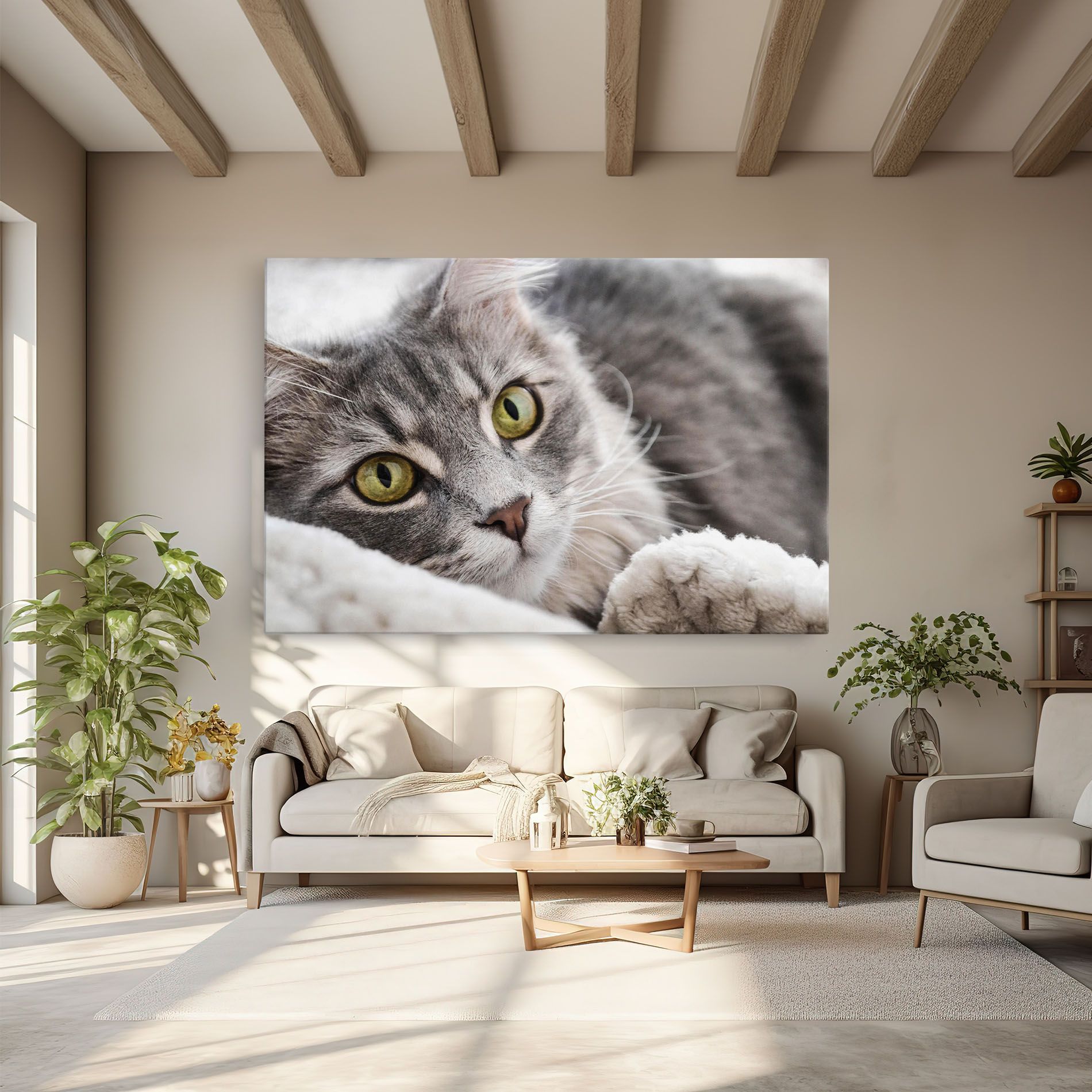 Grey Fluffy Cat mockup 6