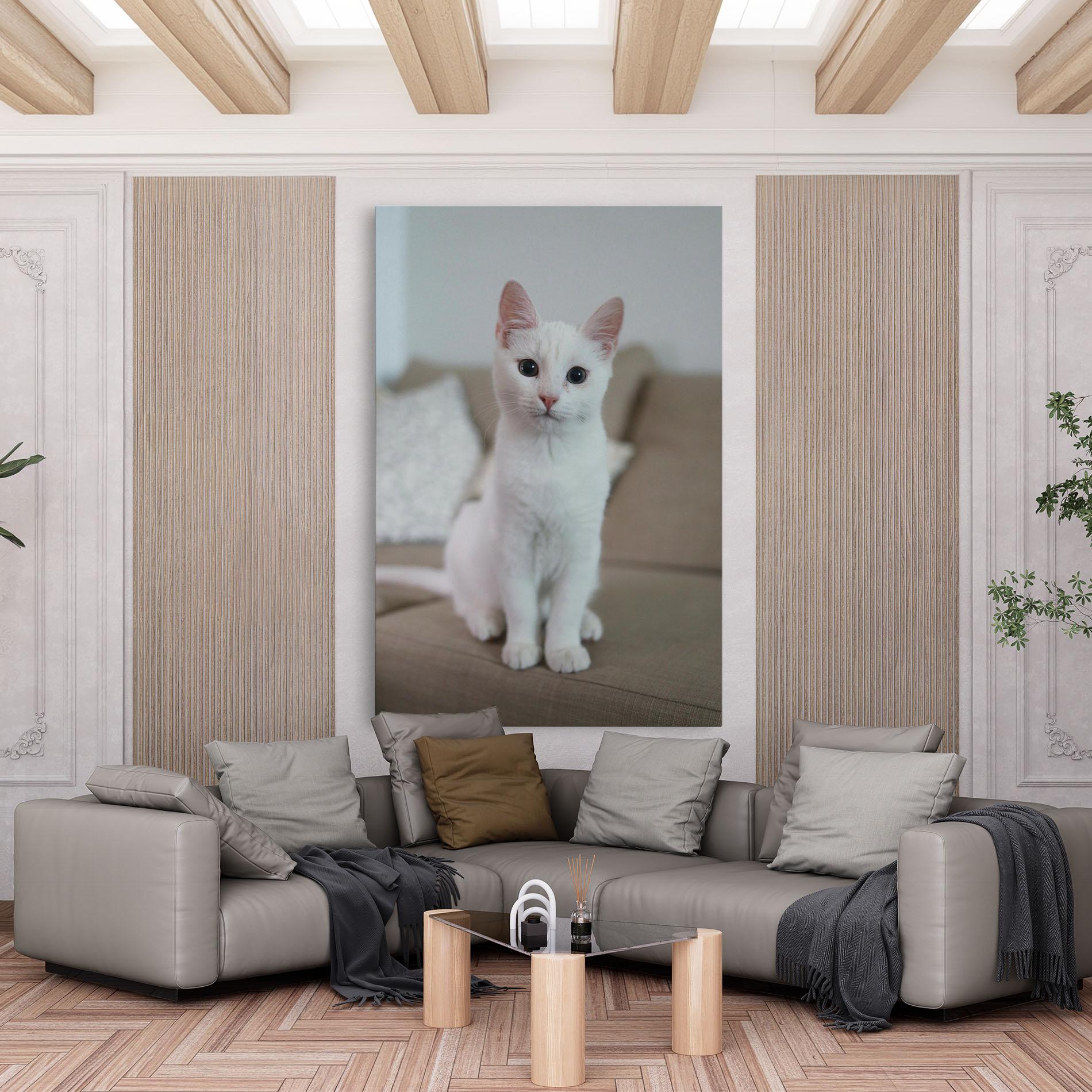 Leinwandbild Beautiful White Cat mockup 6
