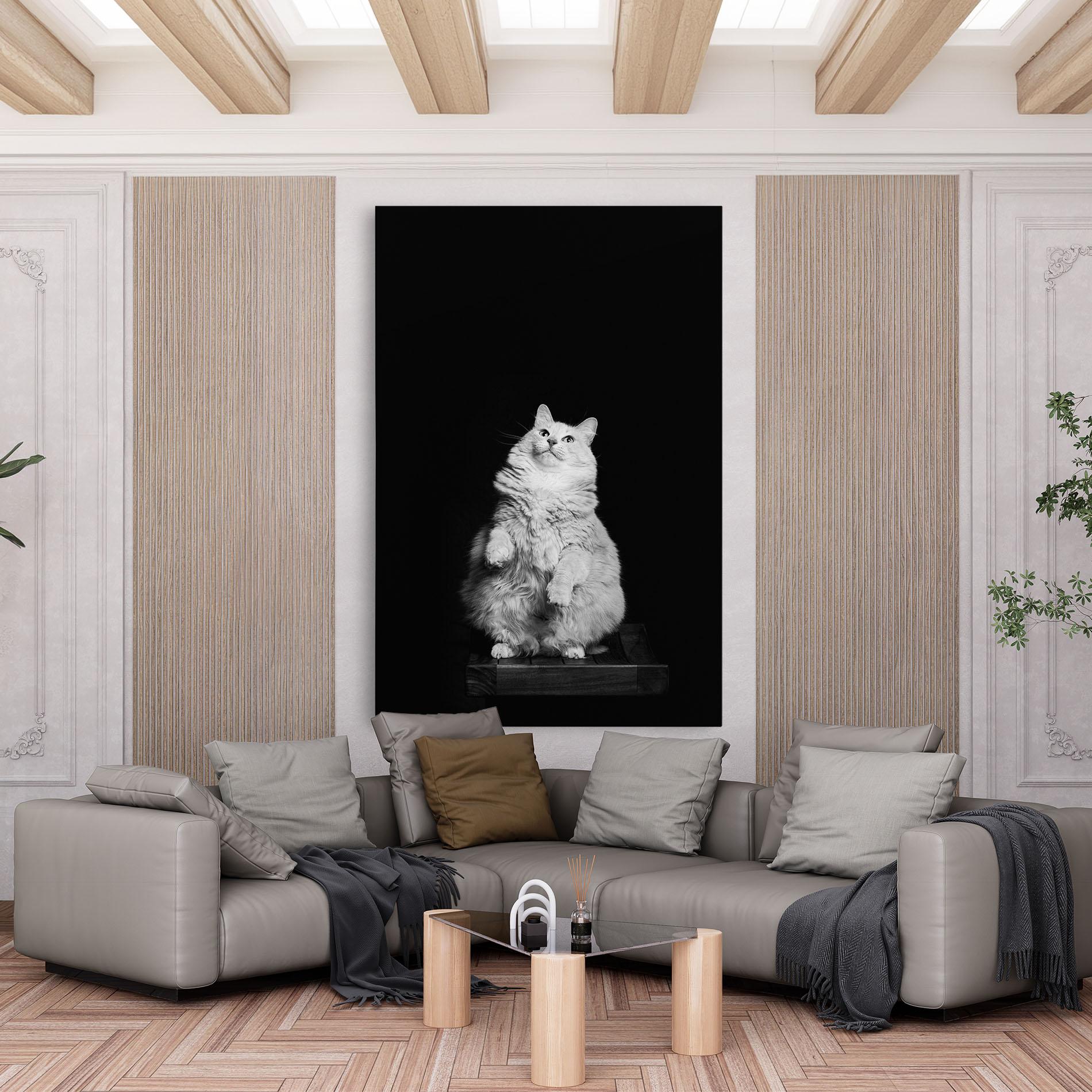 Leinwandbild Big Fluffy Cat mockup 6