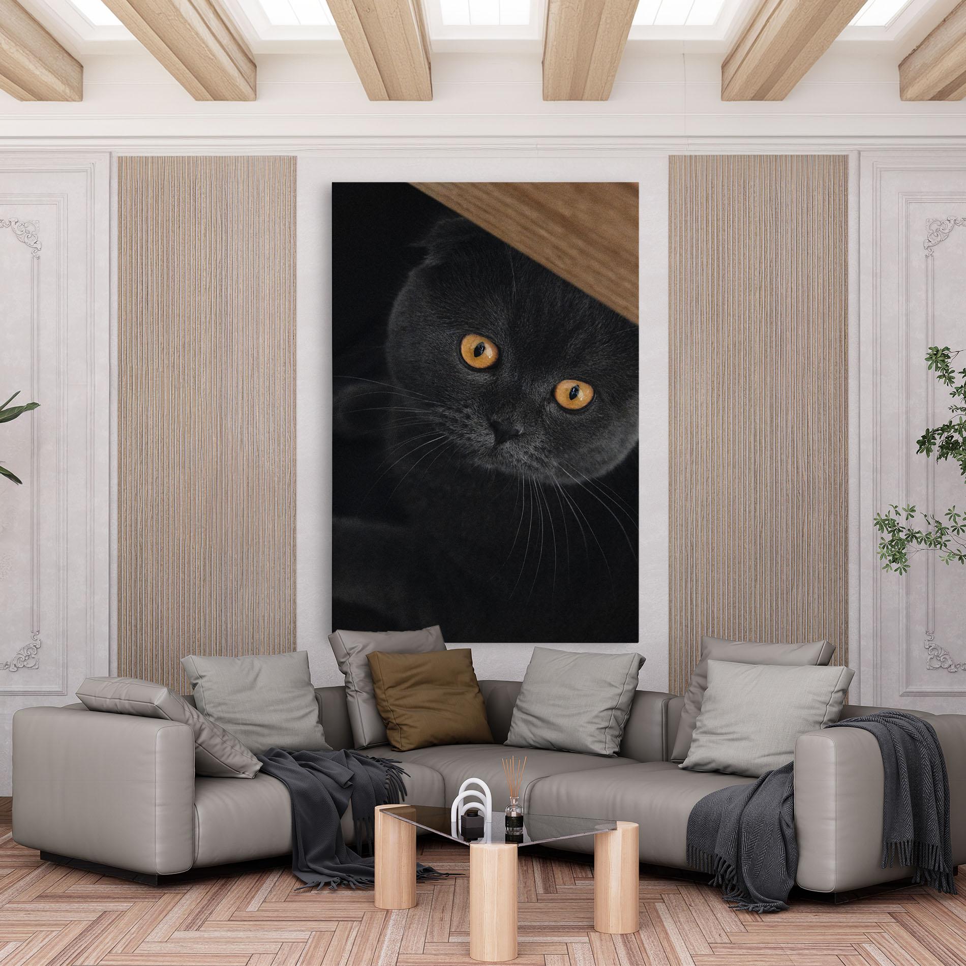 Leinwandbild Grey Cat With Orange Eyes mockup 6