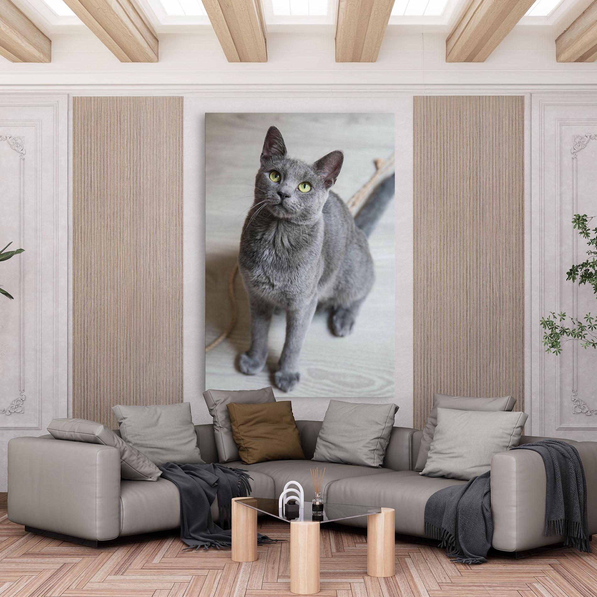 Leinwandbild Grey Green Cat Eyes mockup 6