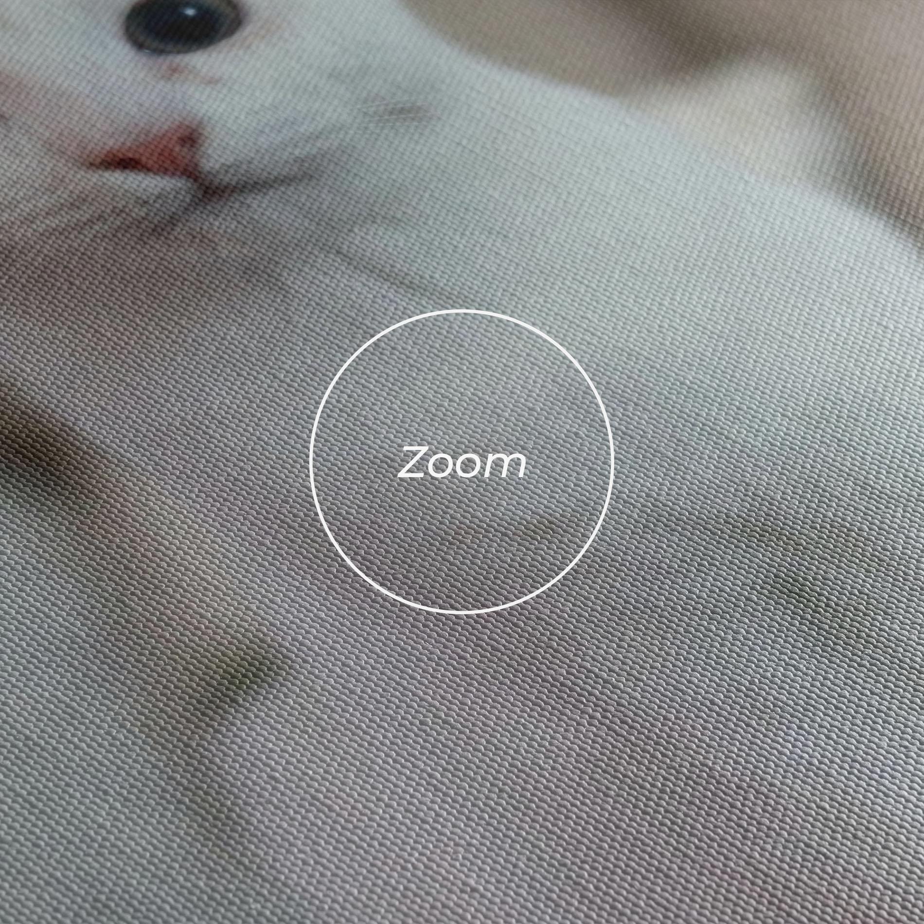 Leinwandbild Beautiful White Cat mockup 3