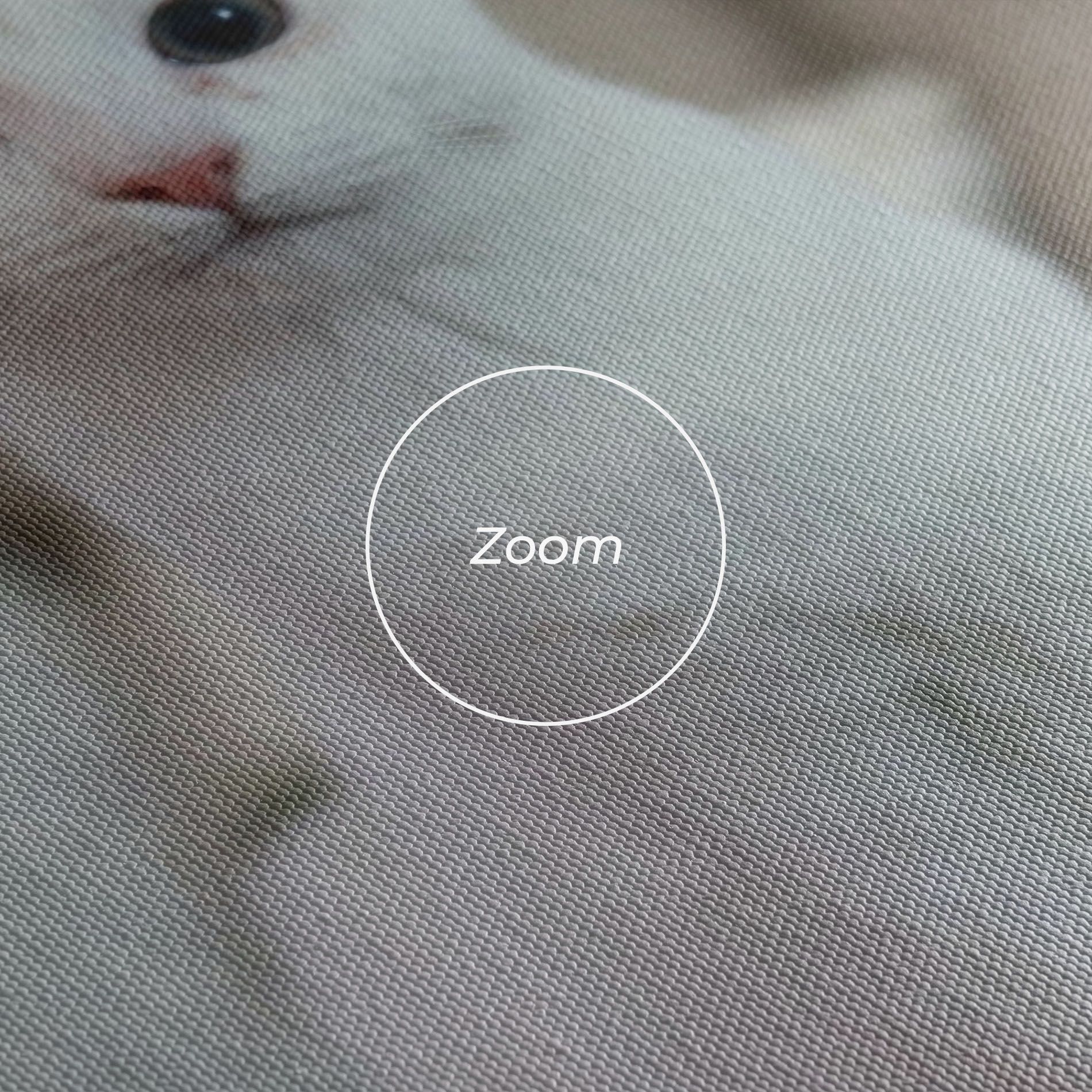 Beautiful White Cat mockup 3