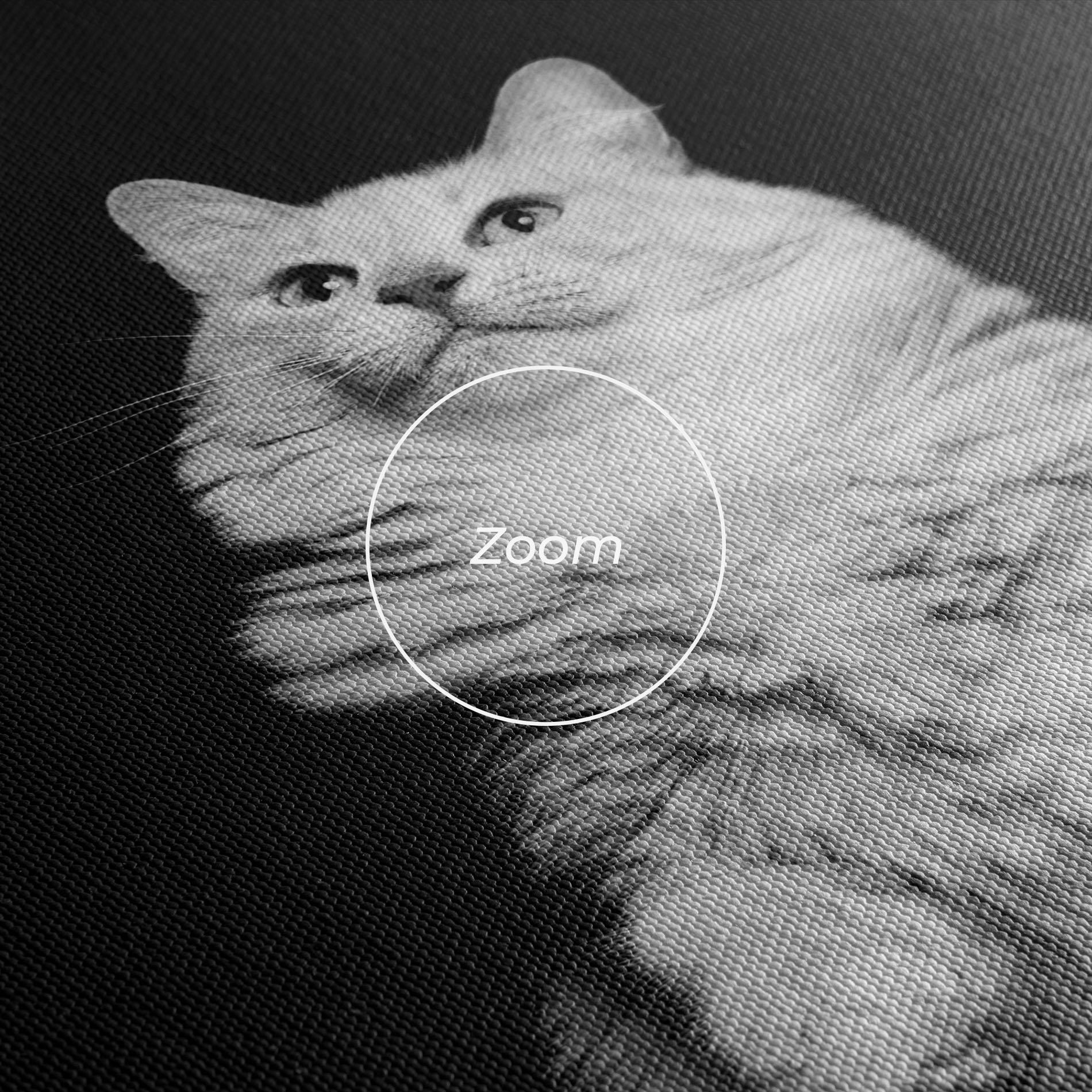 Leinwandbild Big Fluffy Cat mockup 3