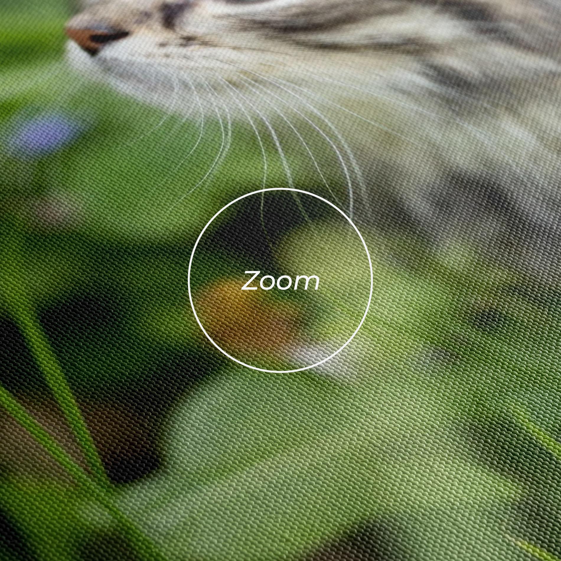 Leinwandbild Brown Baby Cat mockup 3