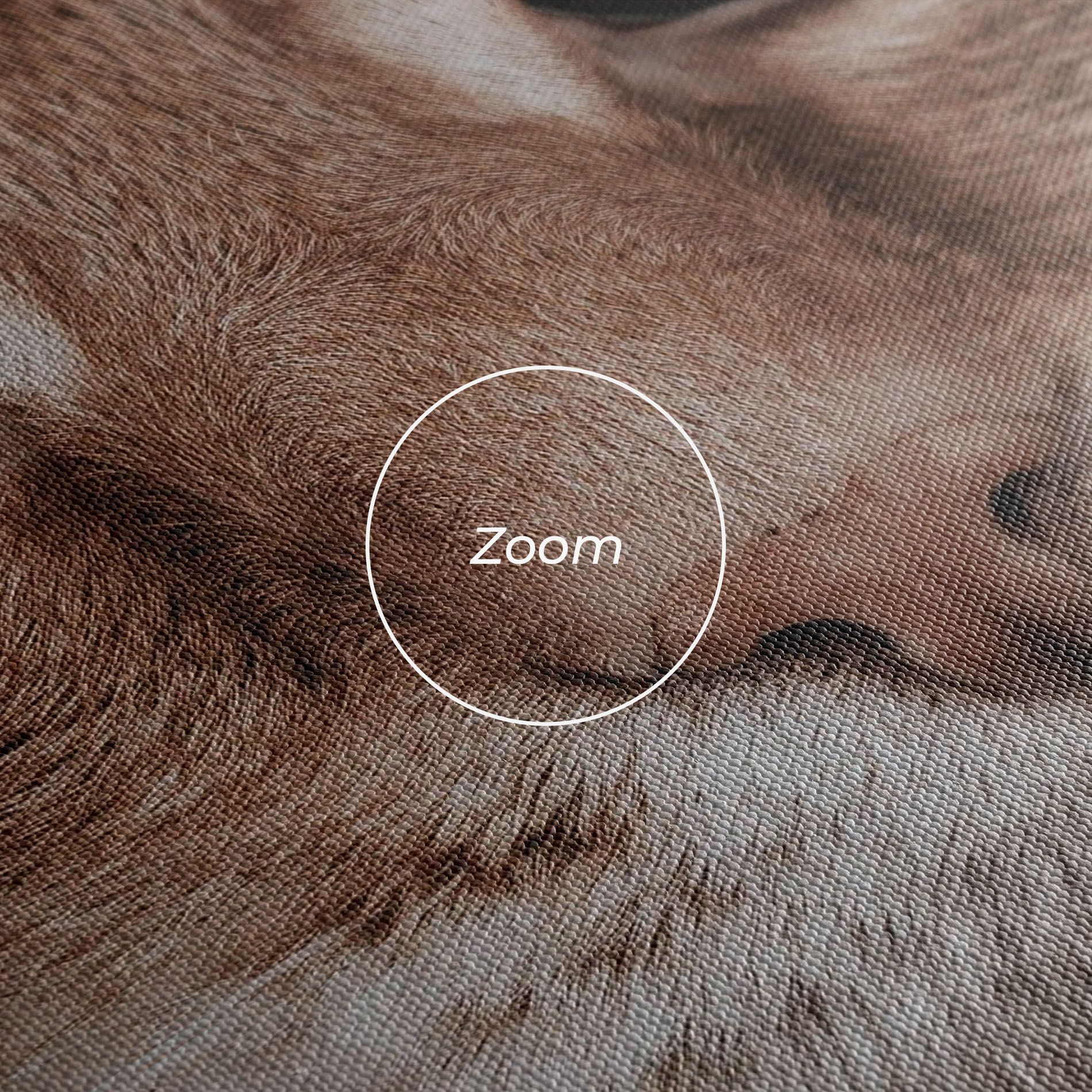 Fire Eyes Cat mockup 3