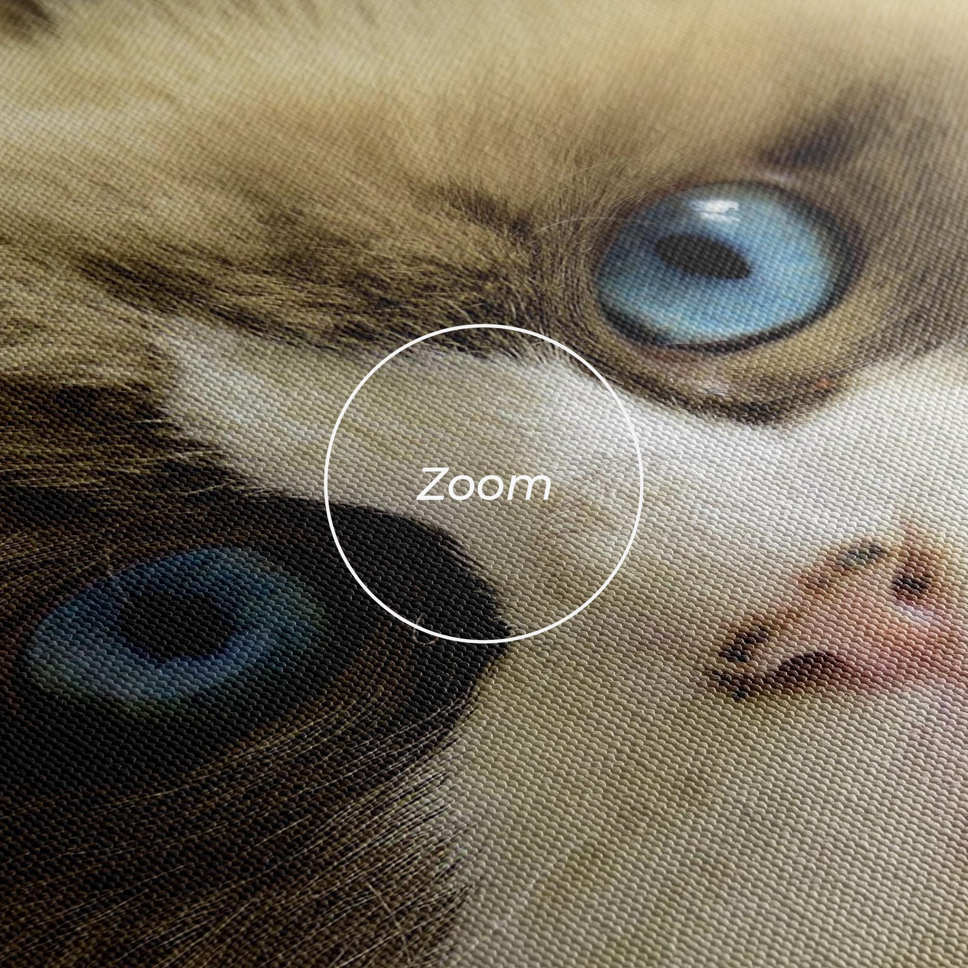 Leinwandbild Interesting Blue Eyes Cat mockup 3