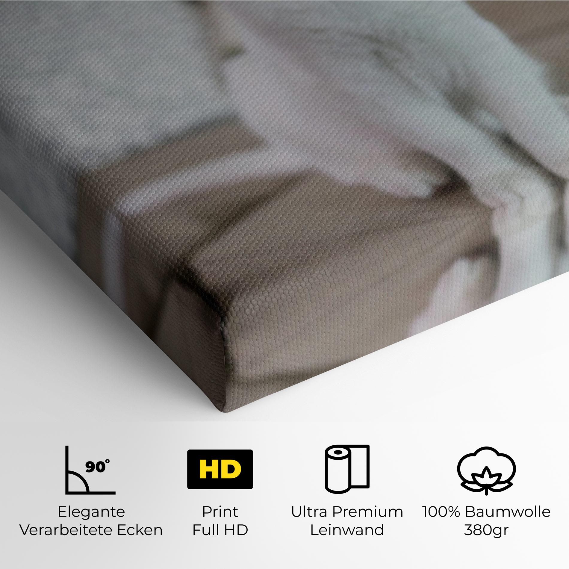 Beautiful White Cat mockup 4