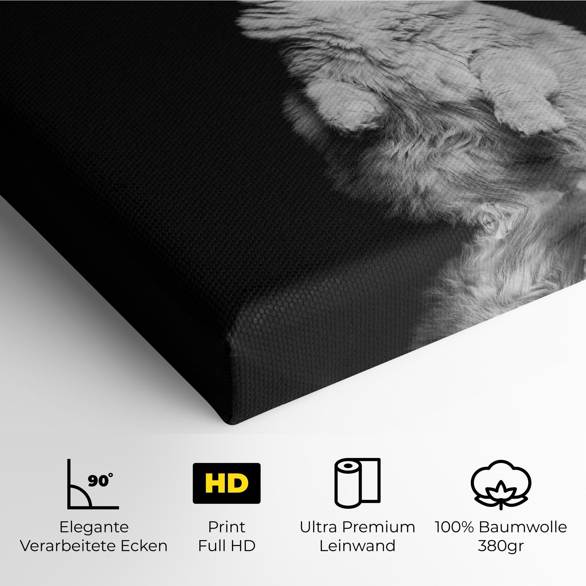 Leinwandbild Big Fluffy Cat mockup 4