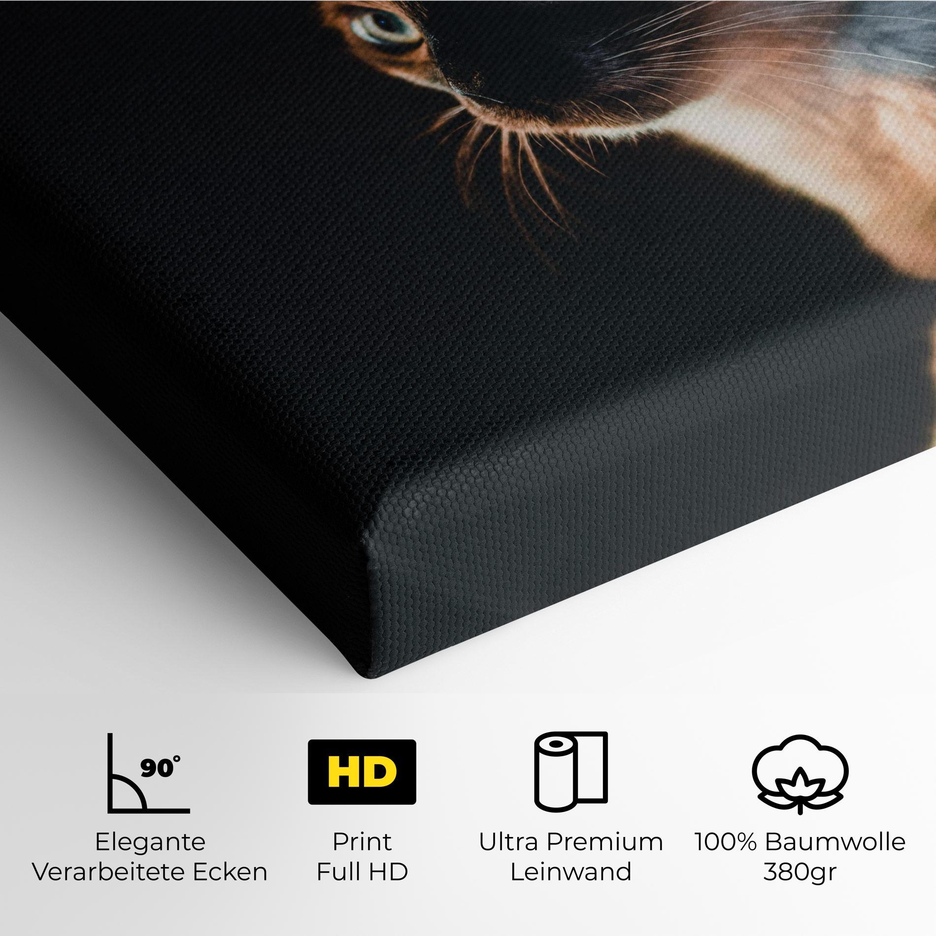 Leinwandbild Blue Eyes Cat In Dark mockup 4