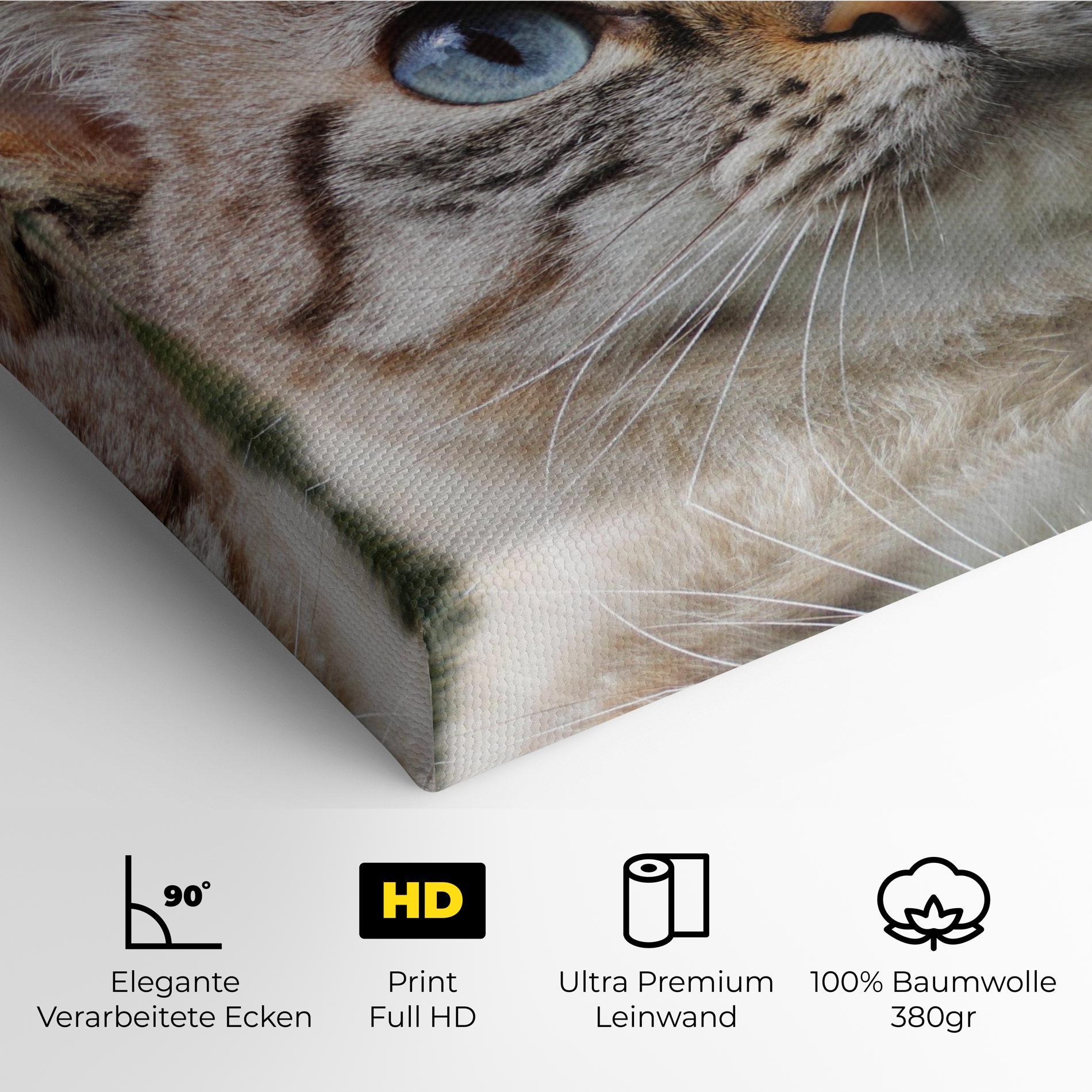 Leinwandbild Blue Eyes Cutie mockup 4