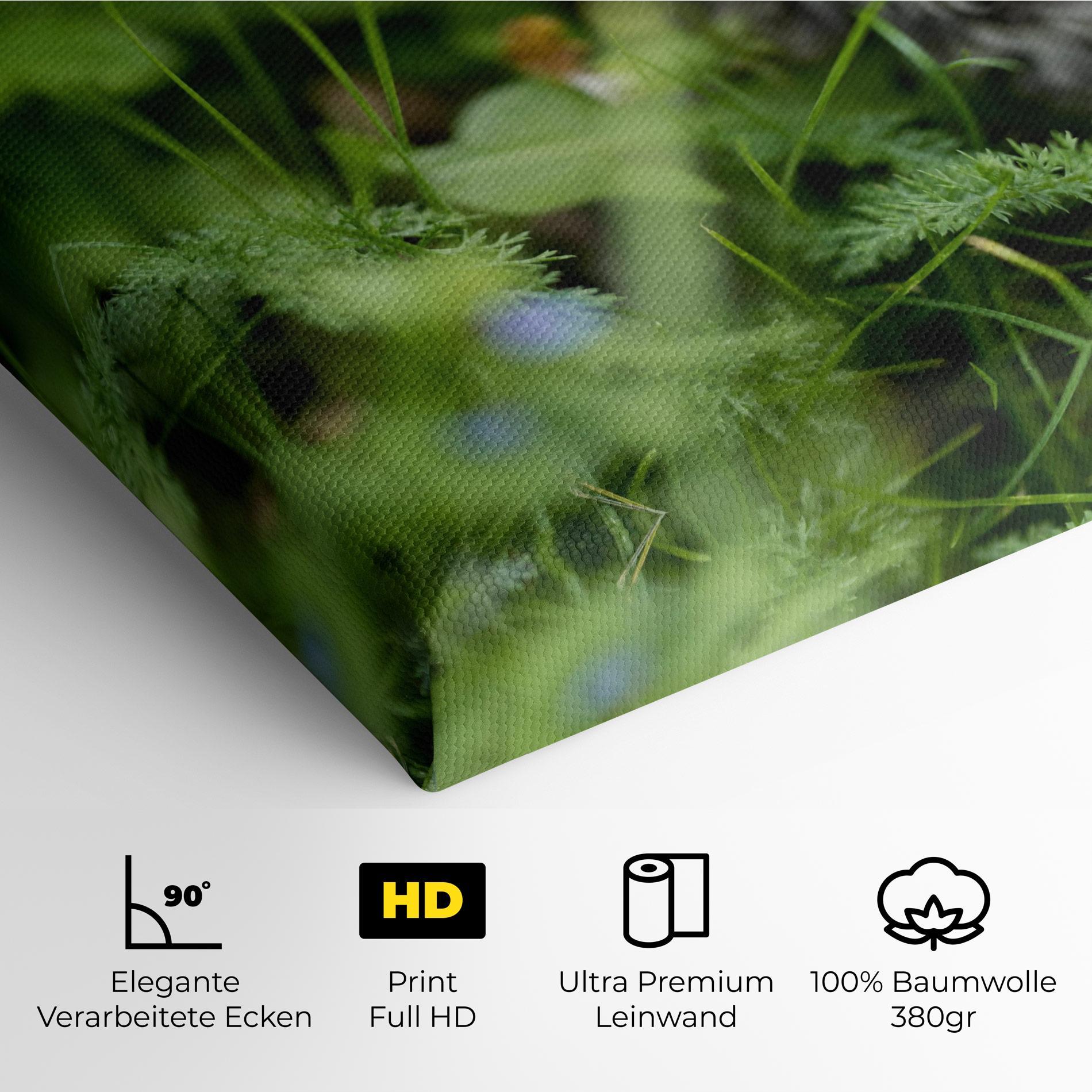 Leinwandbild Brown Baby Cat mockup 4