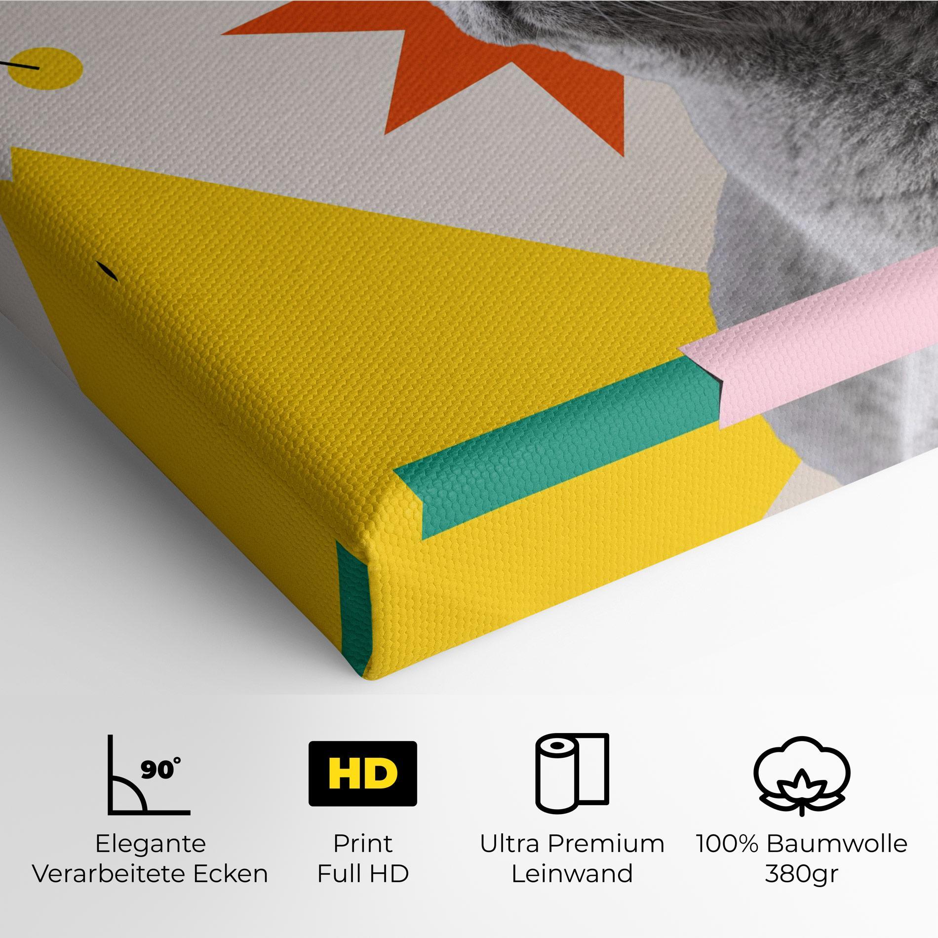 Leinwandbild Colorful Graphic Cat mockup 4