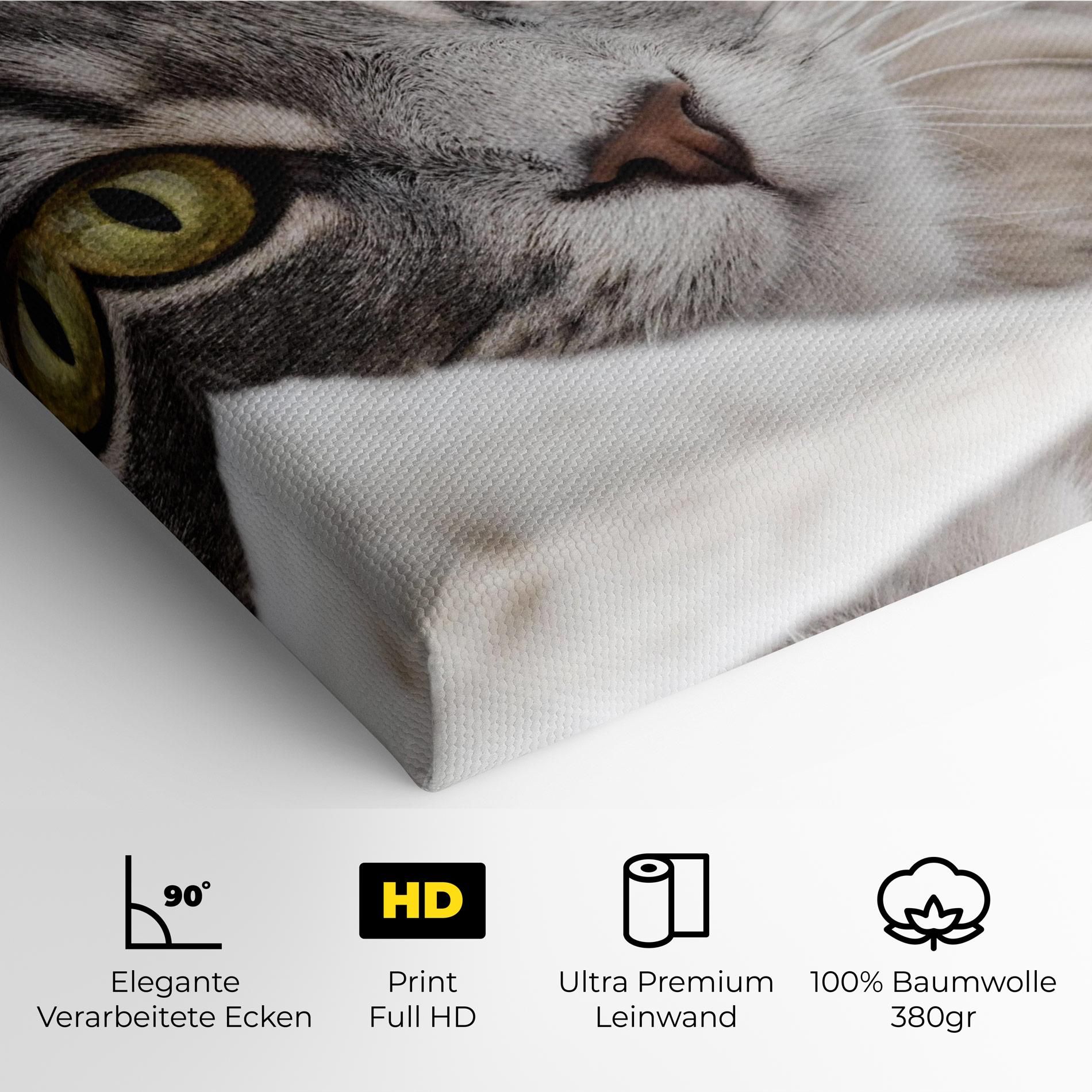 Grey Fluffy Cat mockup 4