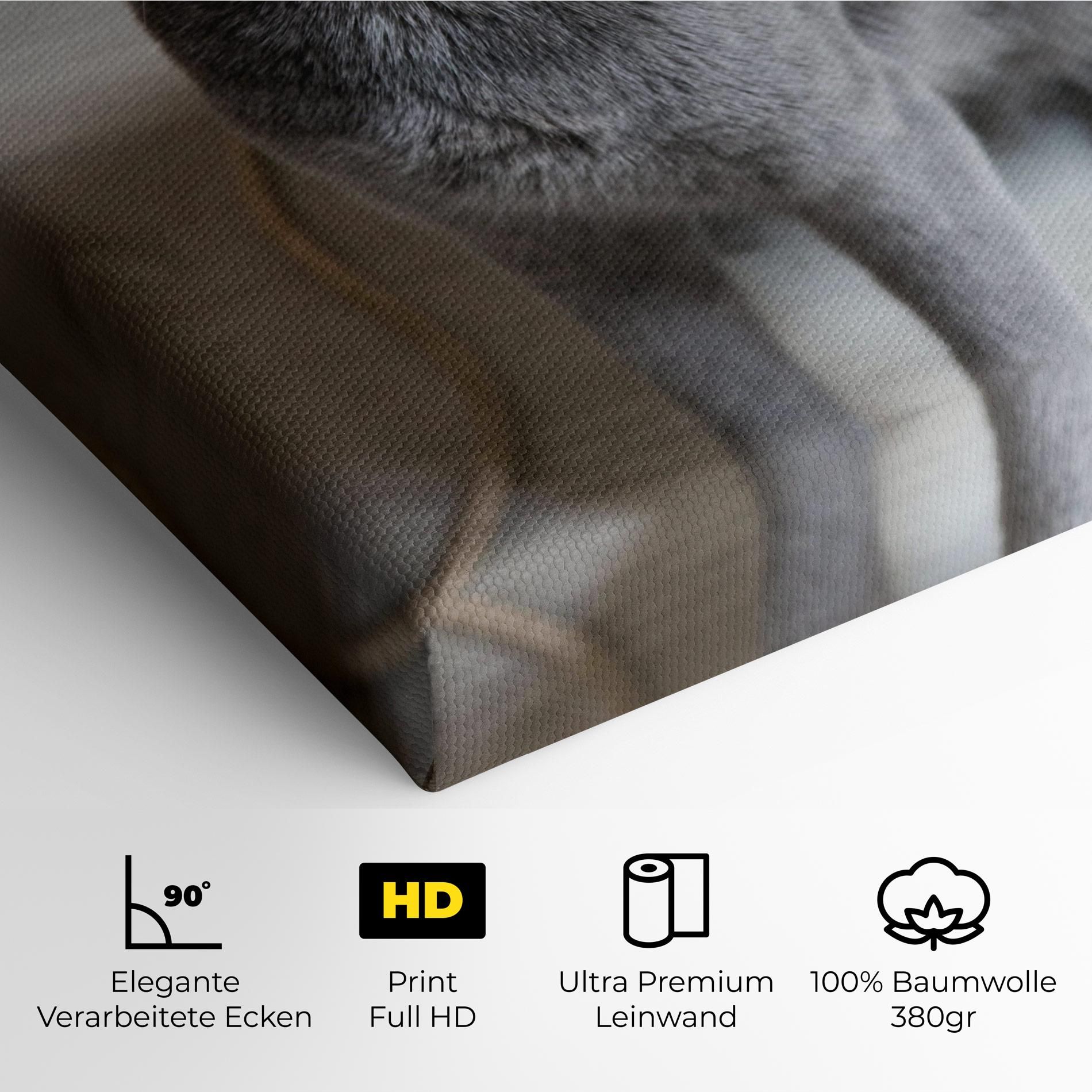 Grey Green Cat Eyes mockup 4