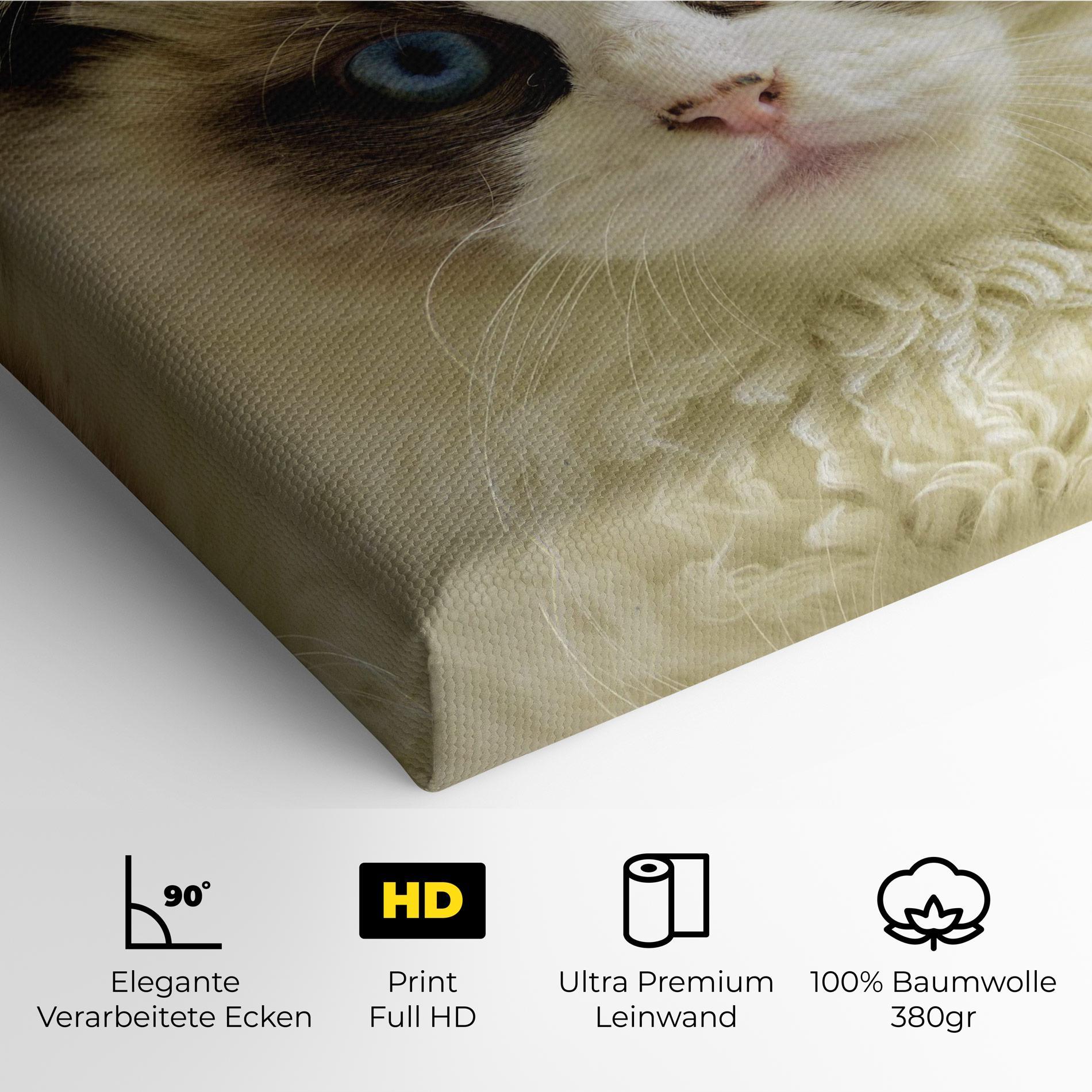 Leinwandbild Interesting Blue Eyes Cat mockup 4