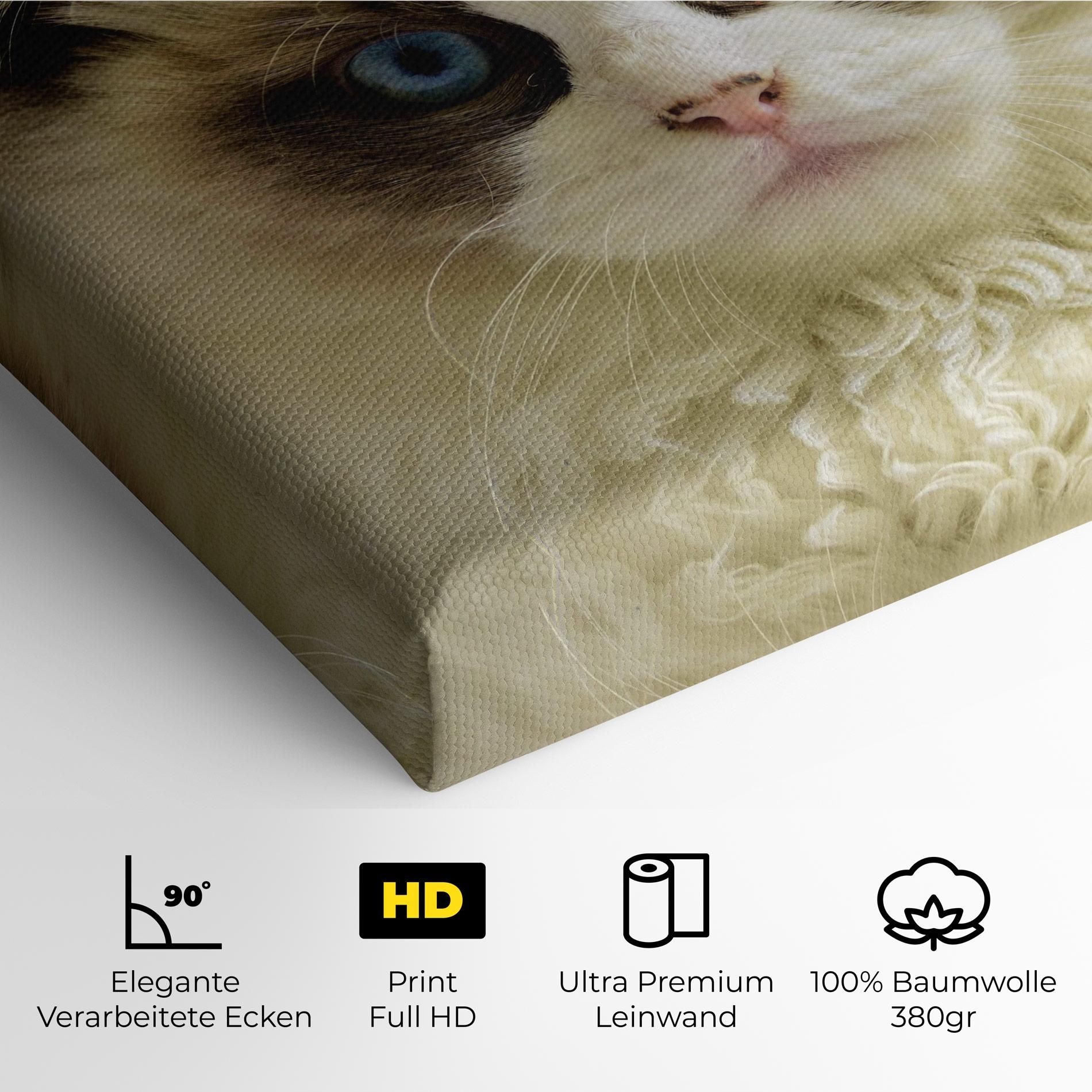 Interesting Blue Eyes Cat mockup 4