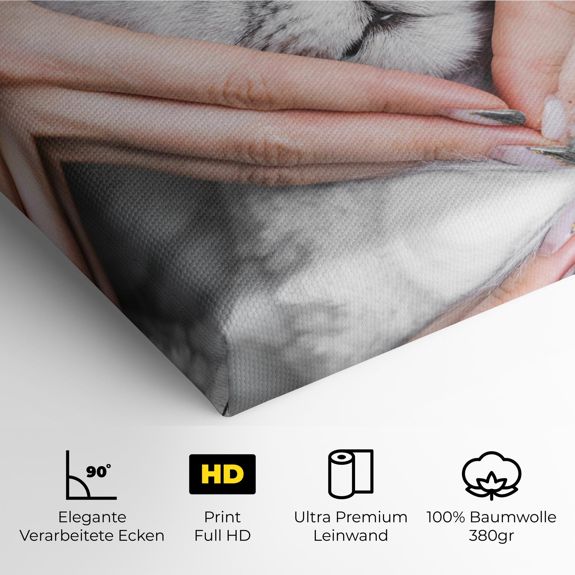 Leinwandbild Lovely Cat mockup 4