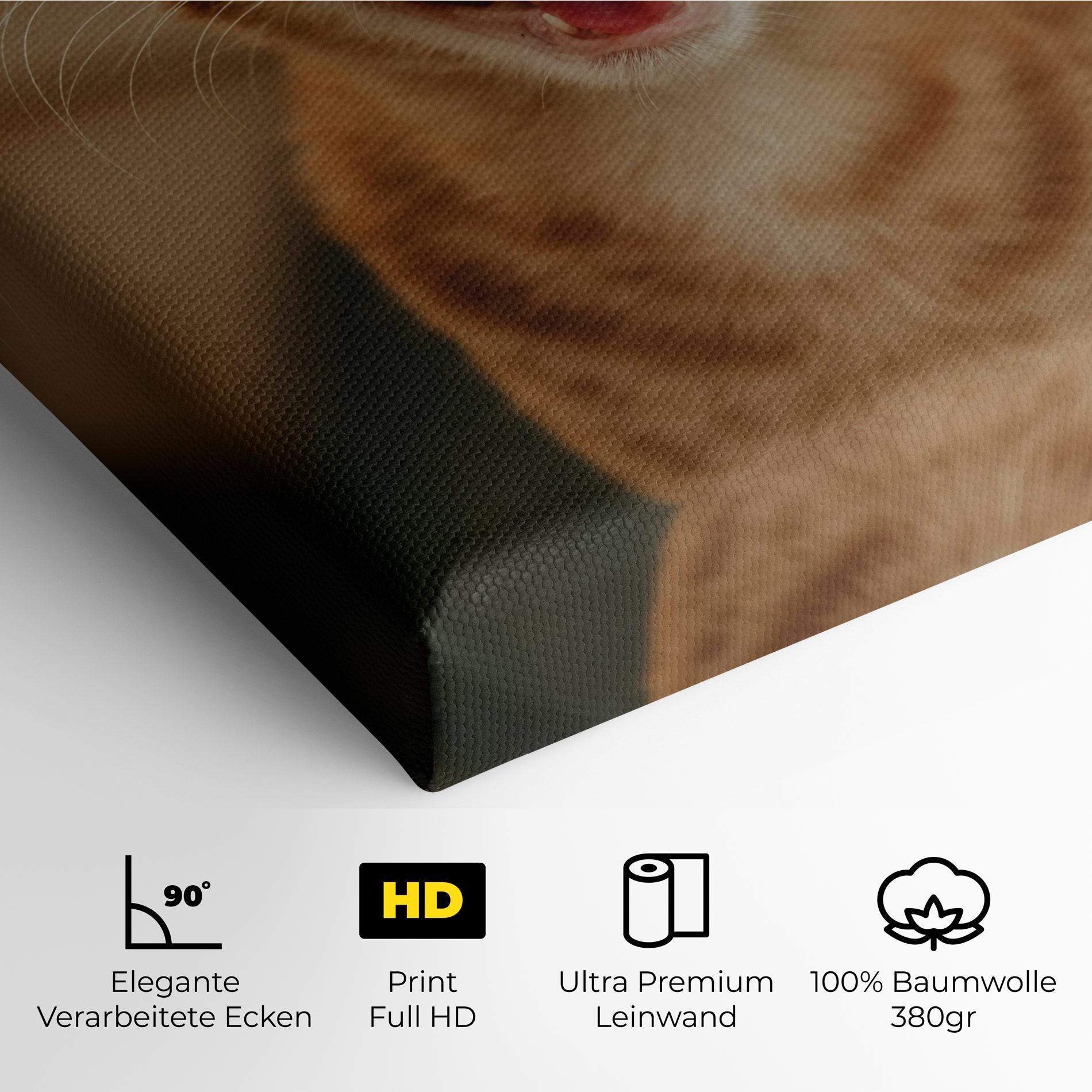 Leinwandbild Orange Cat Smiling mockup 4