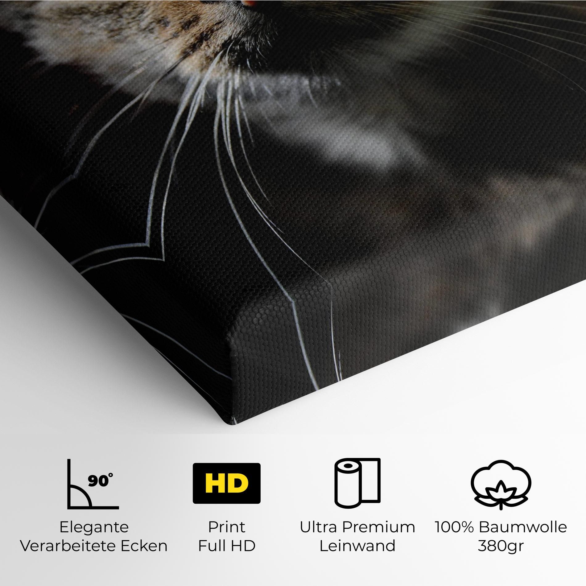Playful Cat mockup 4