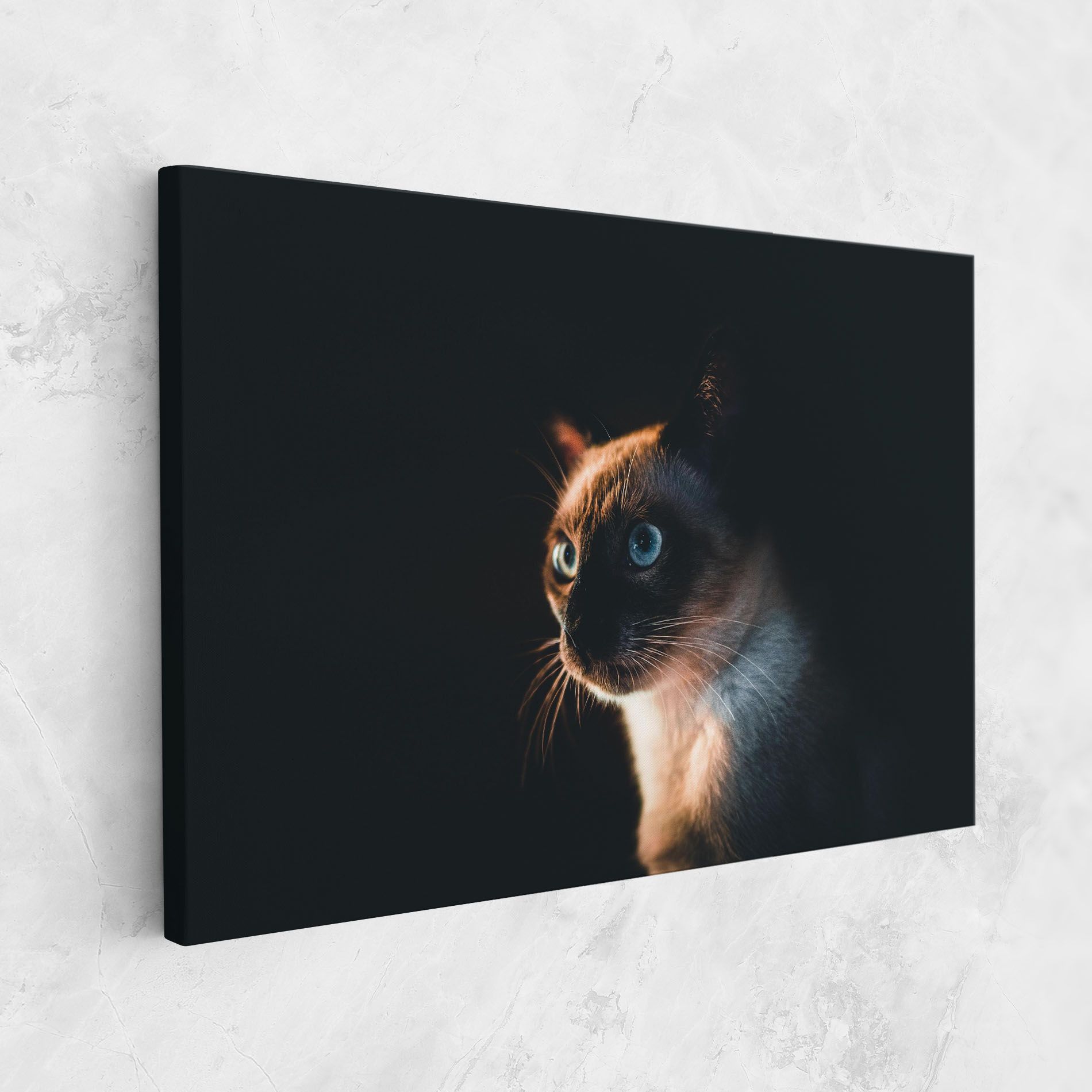 Blue Eyes Cat In Dark mockup 1