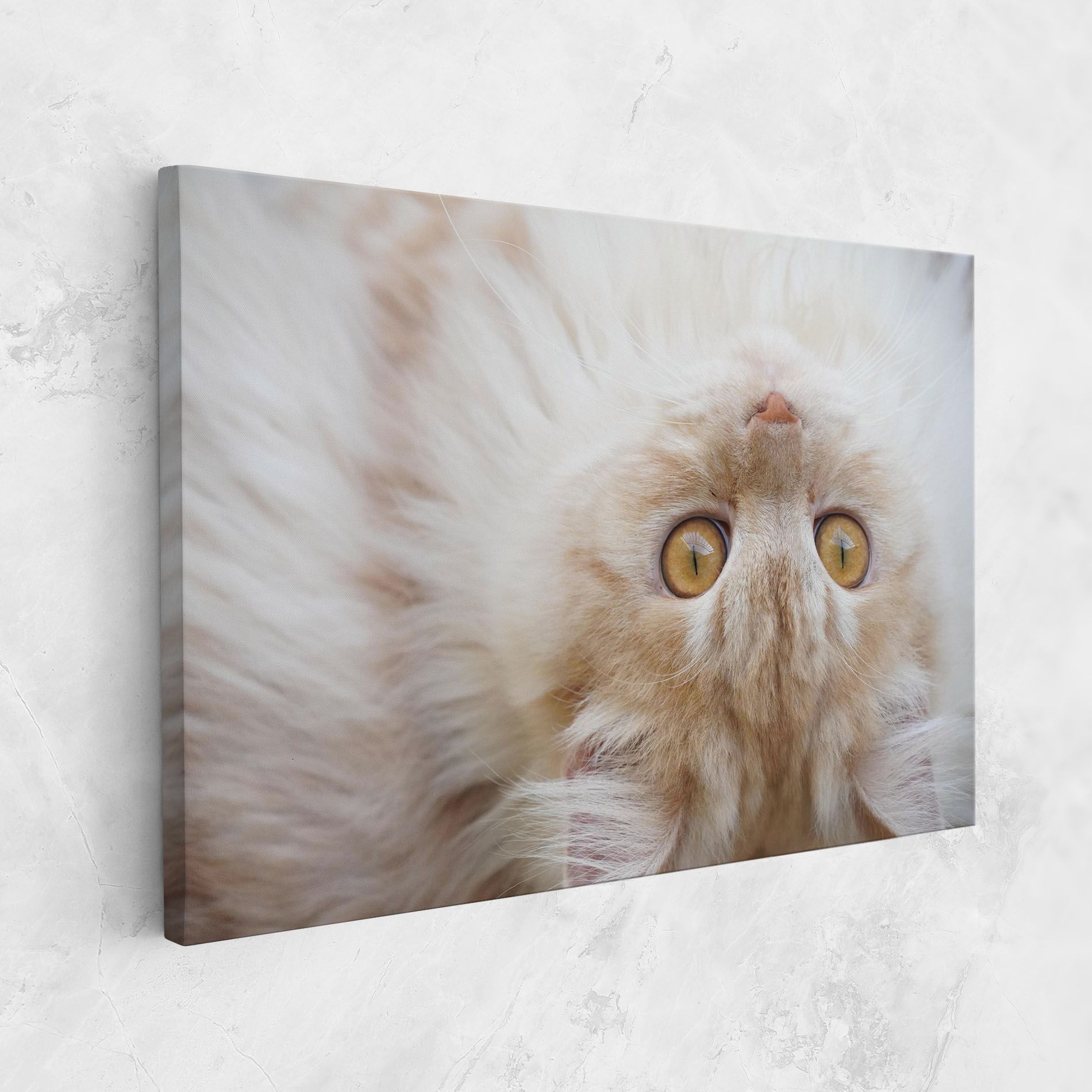 Close Up Yellow Eyes Cat mockup 1