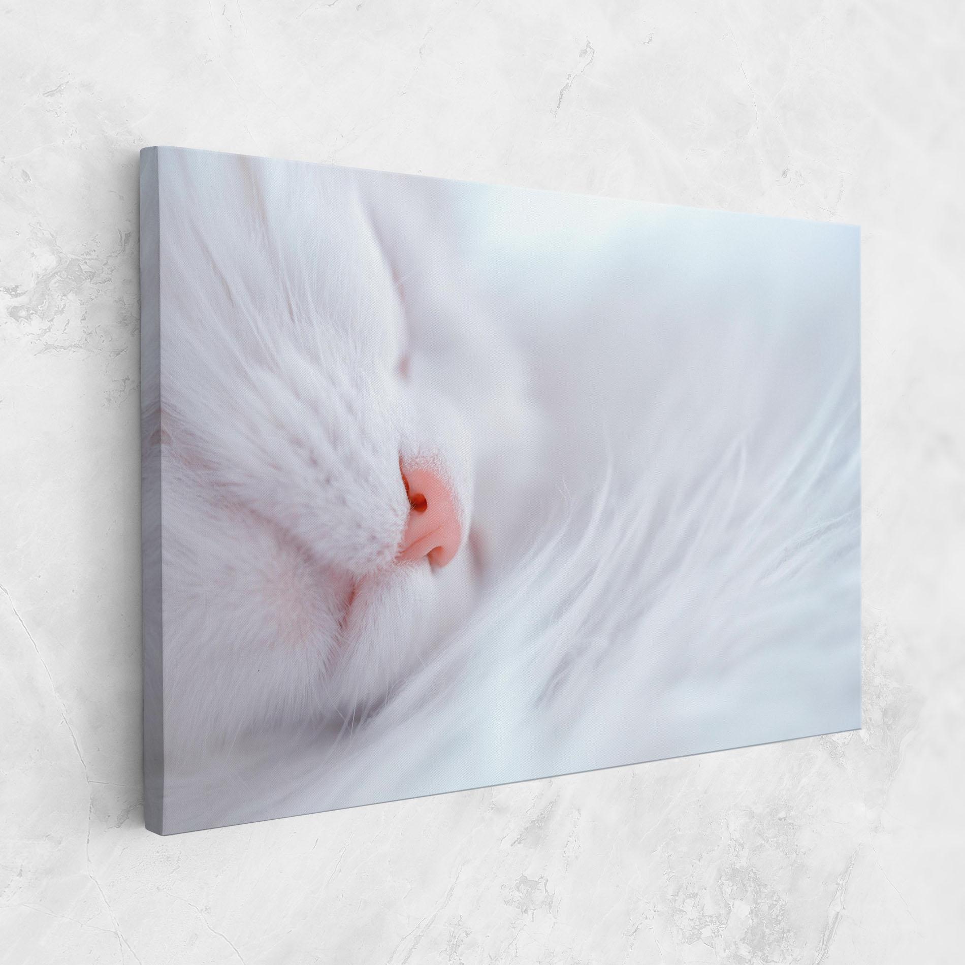 Leinwandbild Dreamy White Cat mockup 1