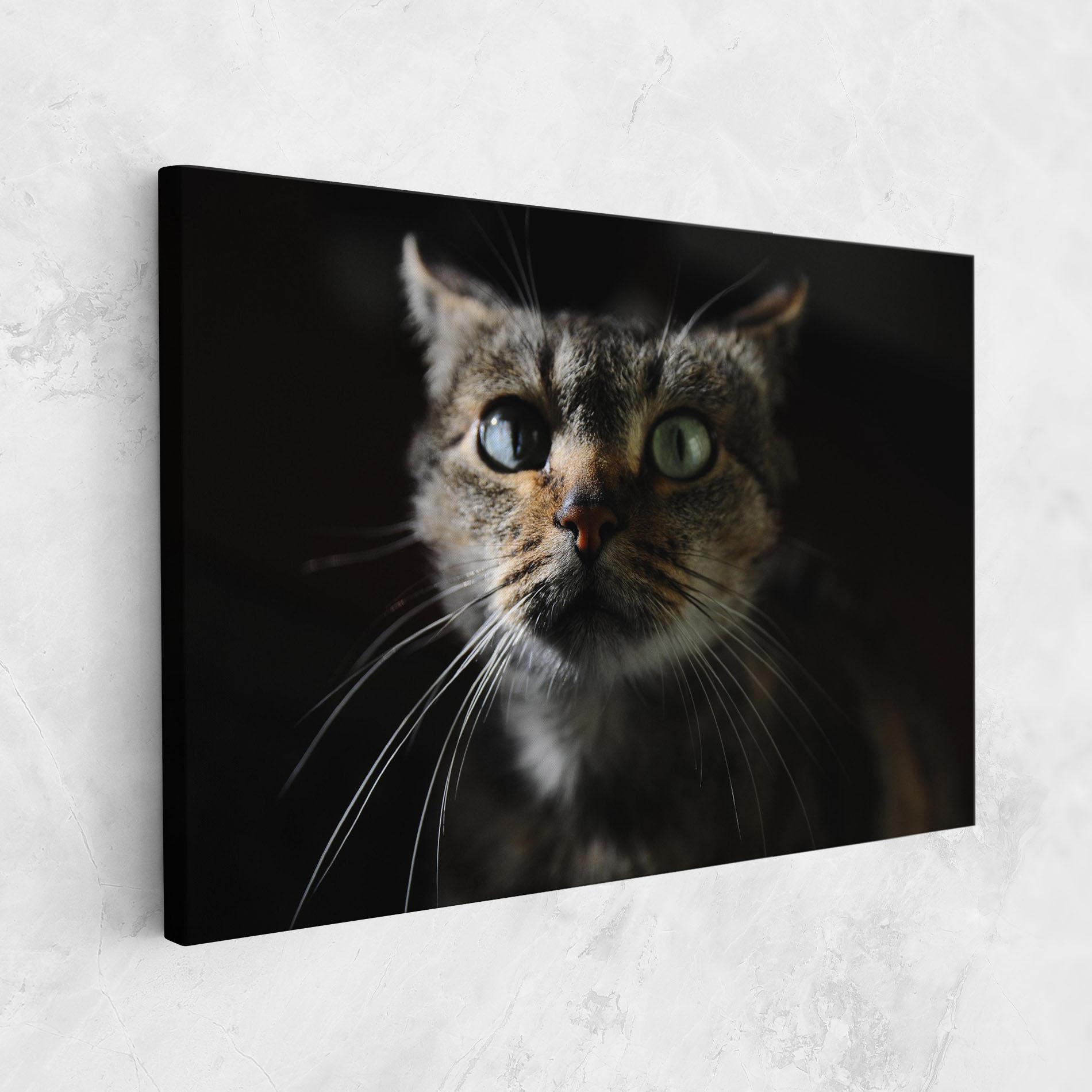 Leinwandbild Playful Cat mockup 1
