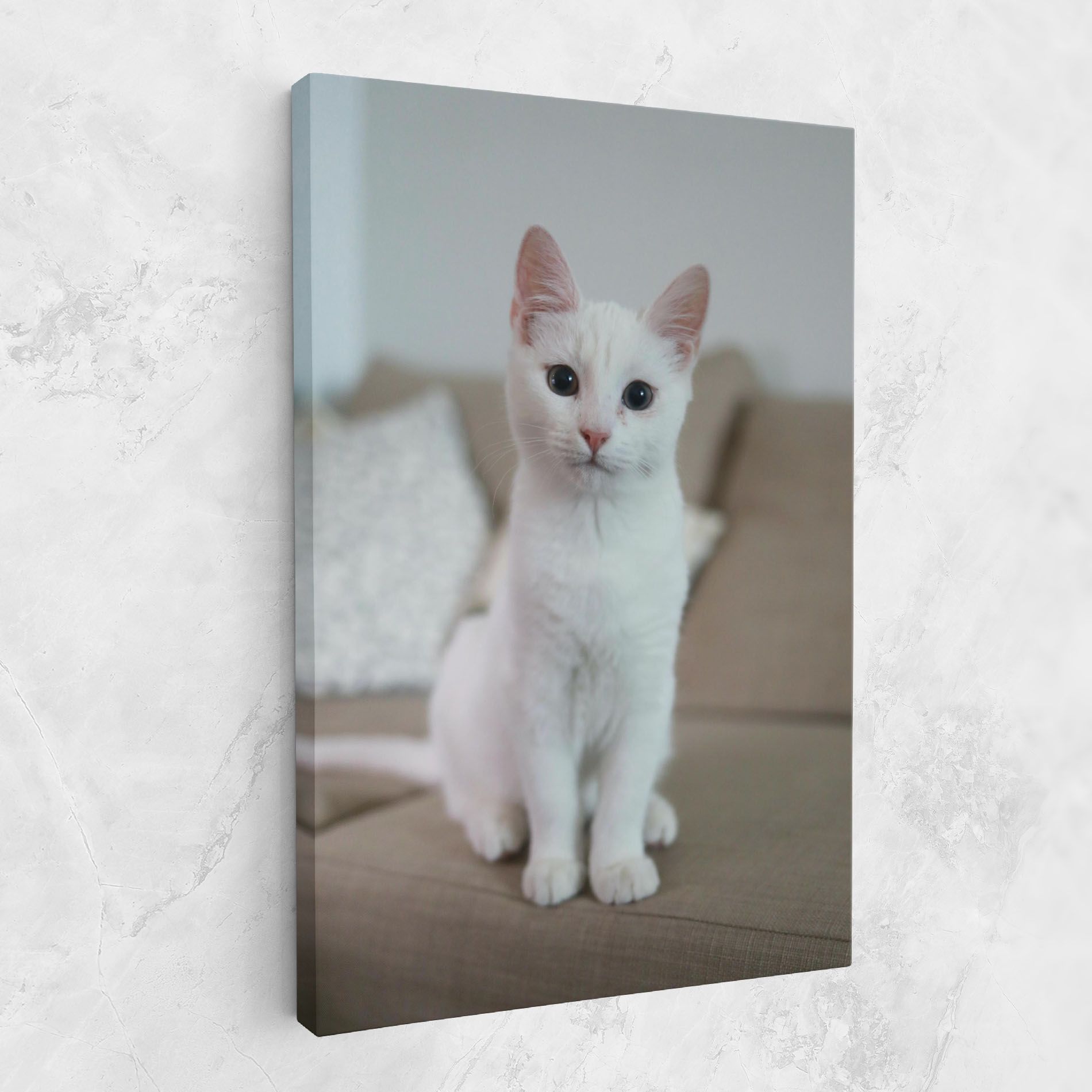 Beautiful White Cat mockup 1